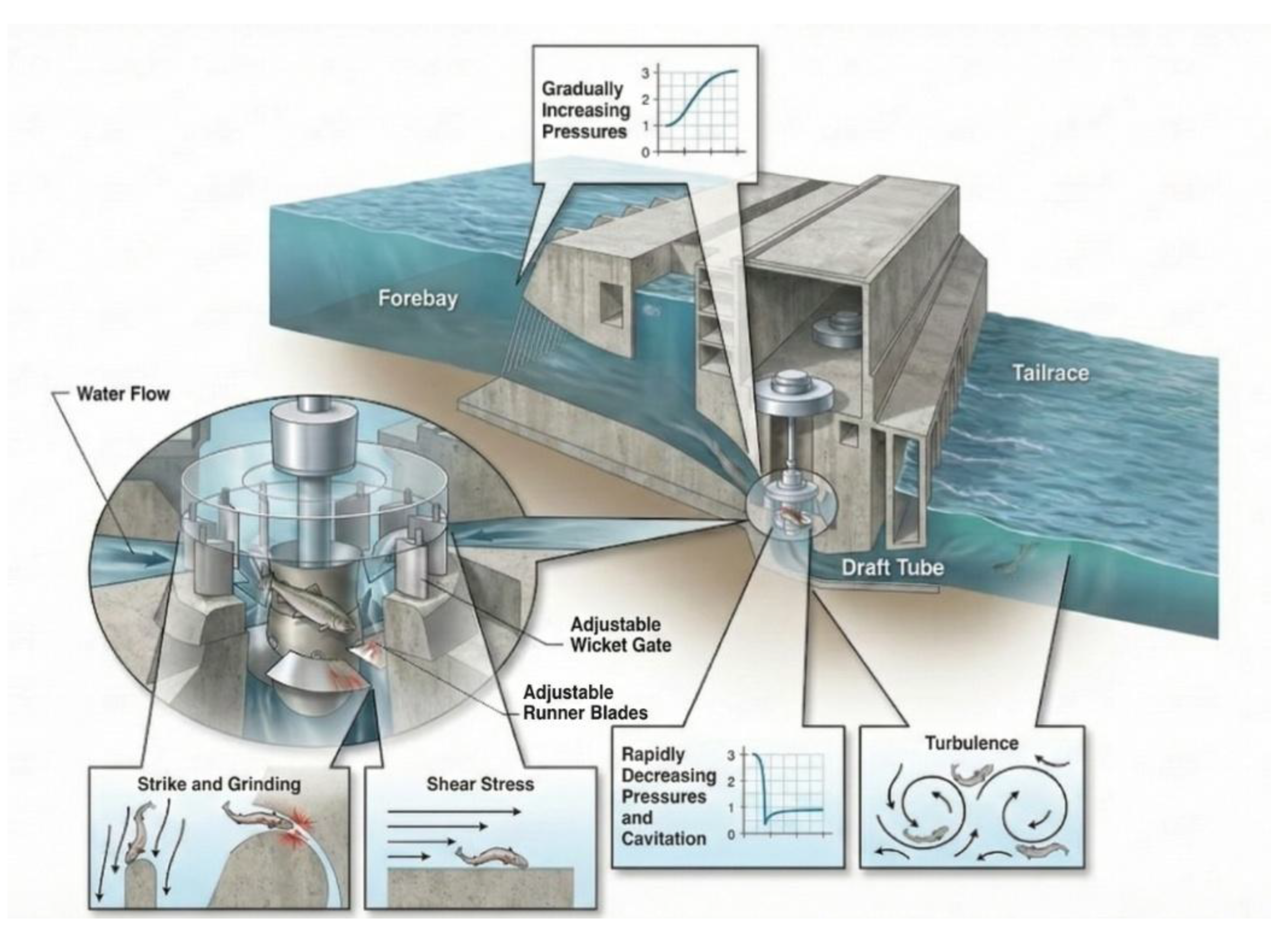 Preprints 191319 g001