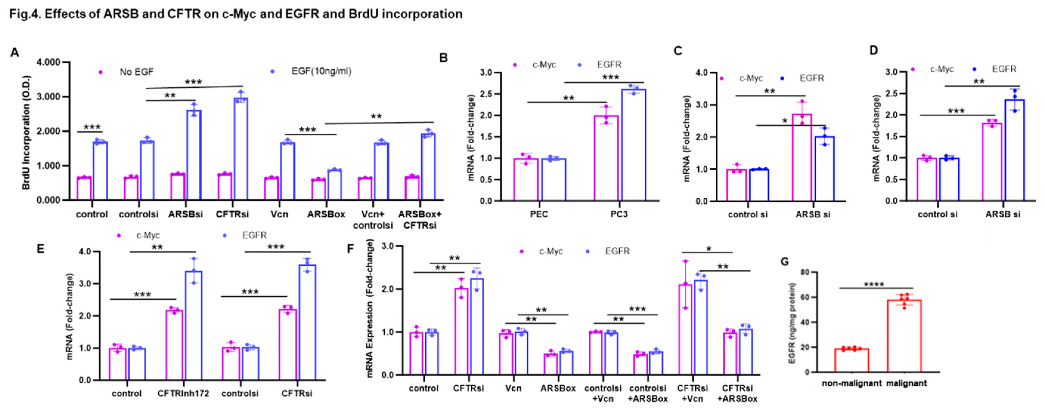 Preprints 156612 g004