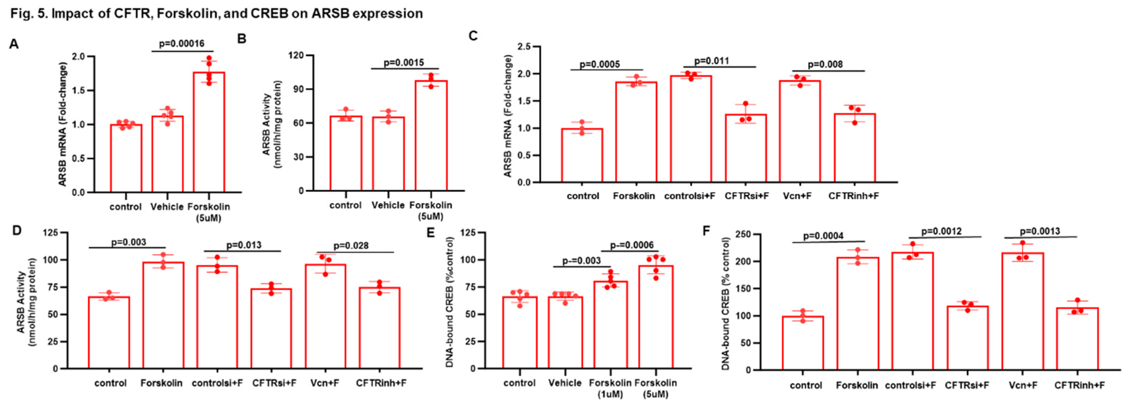 Preprints 156612 g005