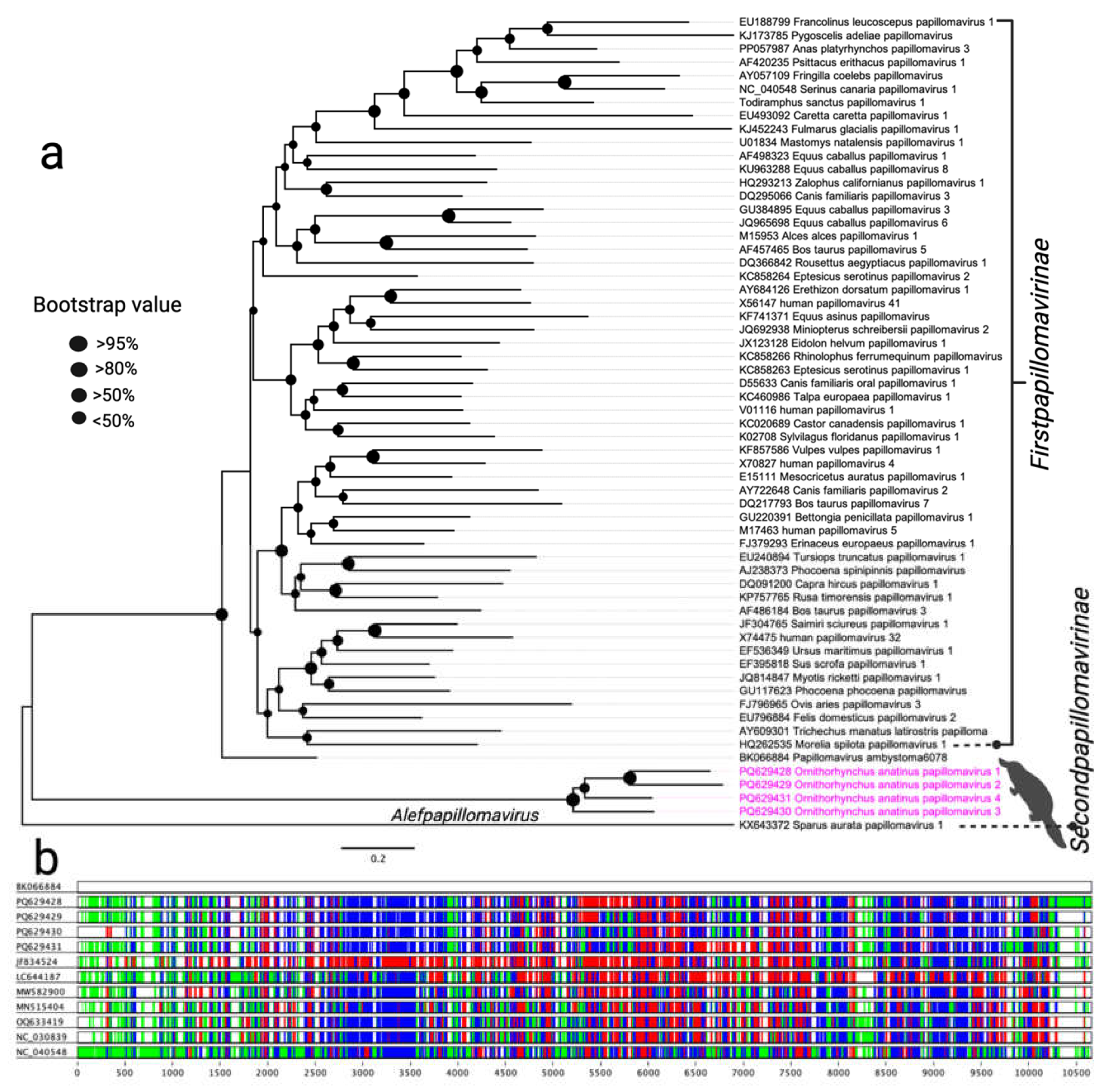 Preprints 143882 g001