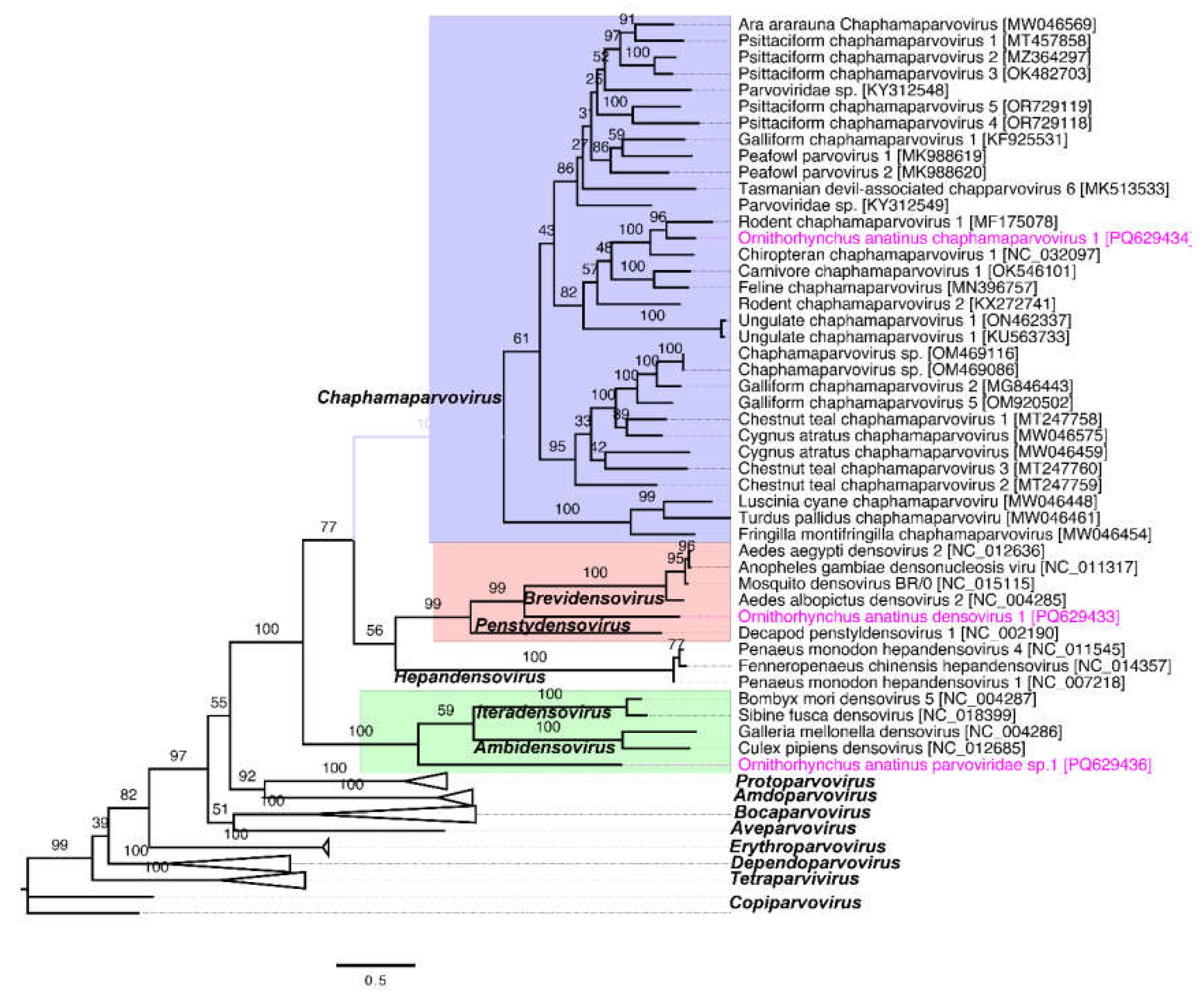 Preprints 143882 g002