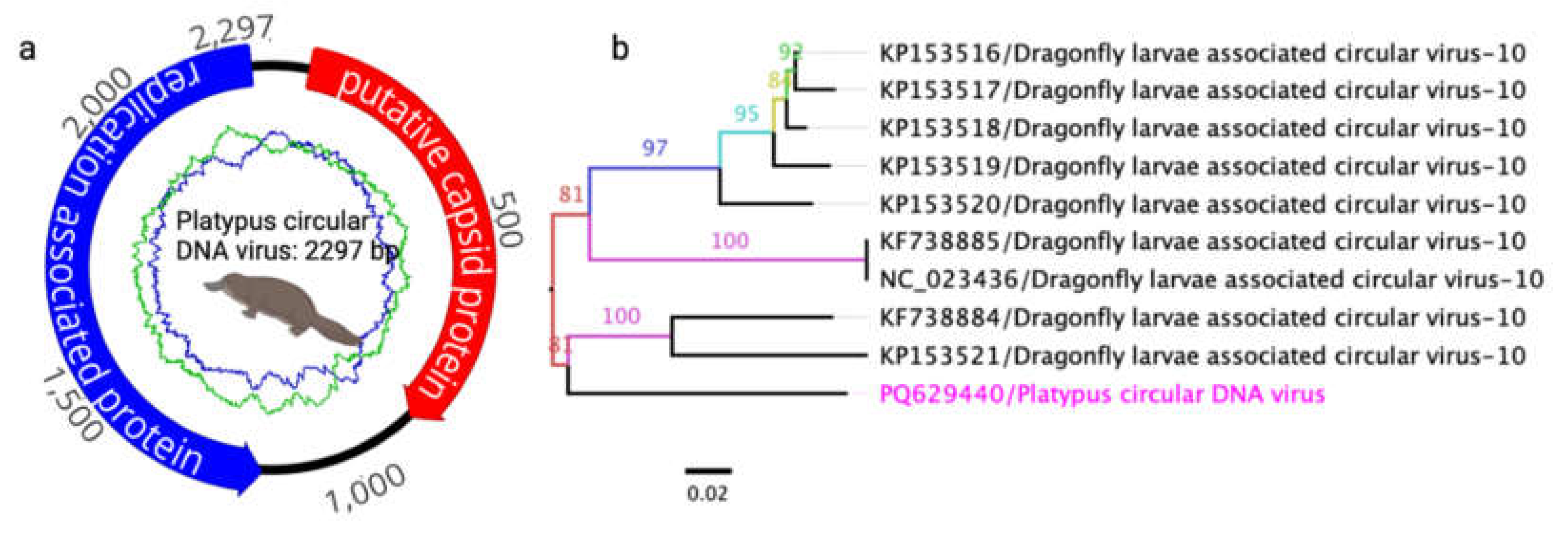 Preprints 143882 g003