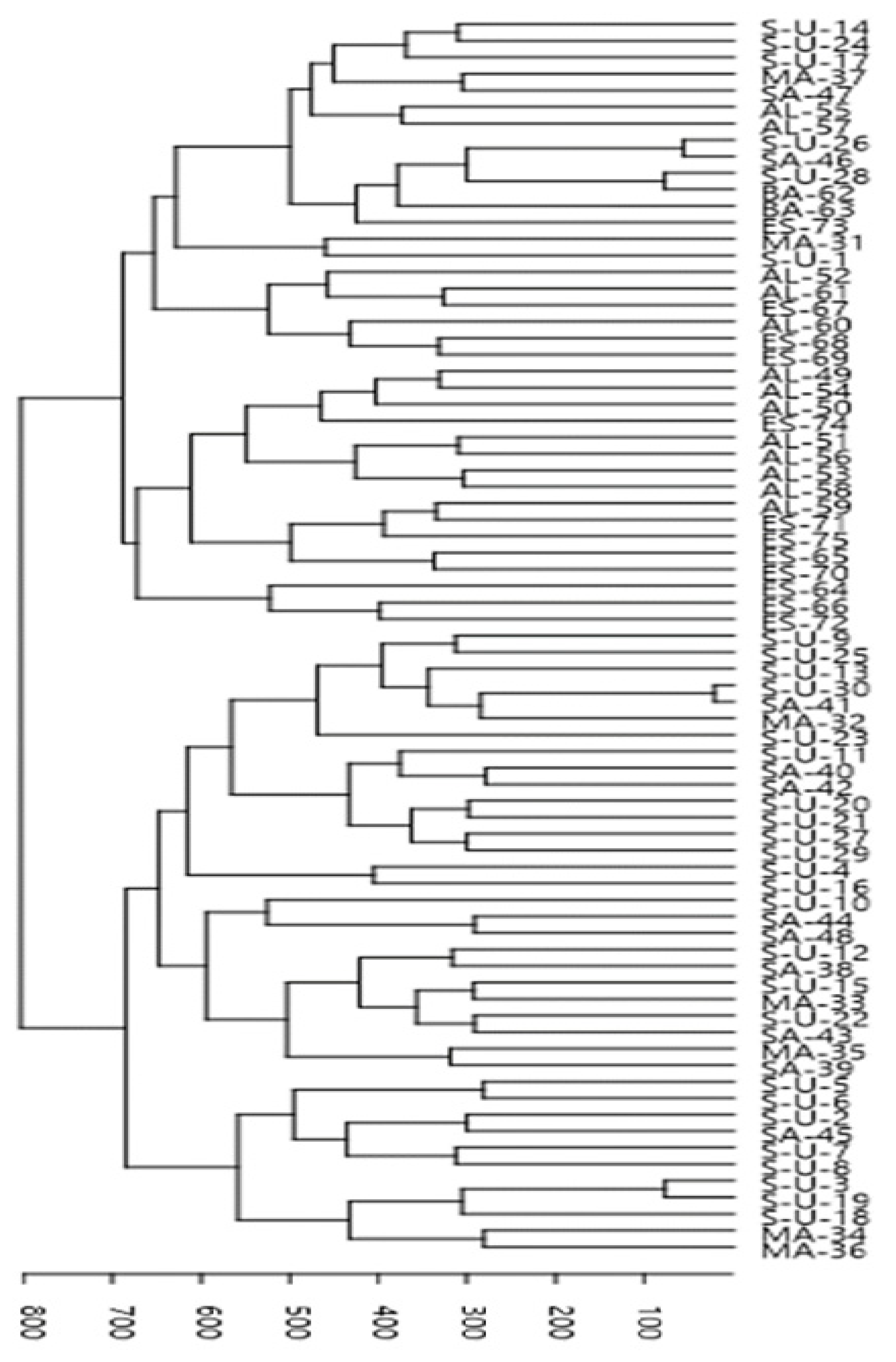 Preprints 162190 g005