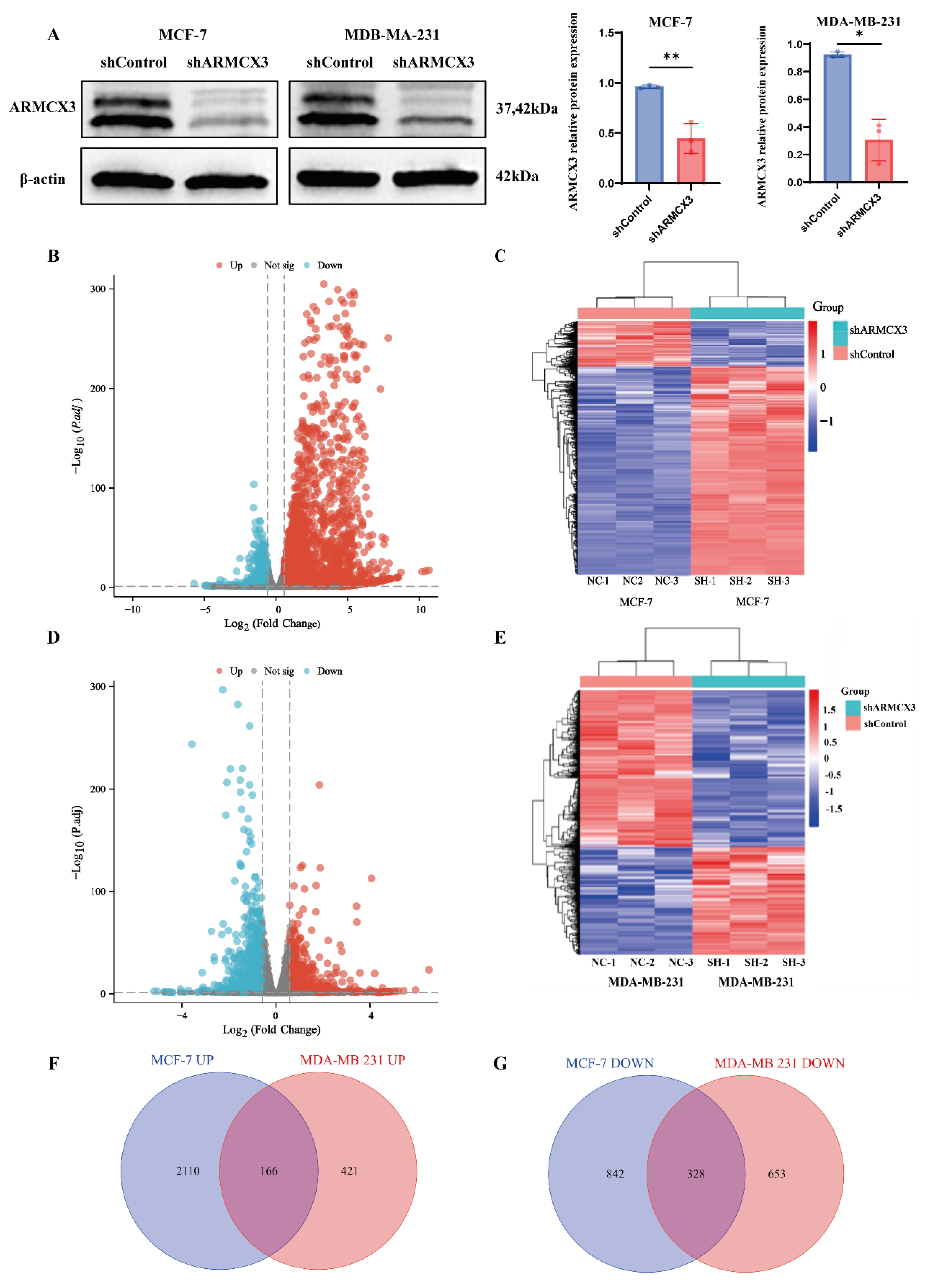 Preprints 223701 g002