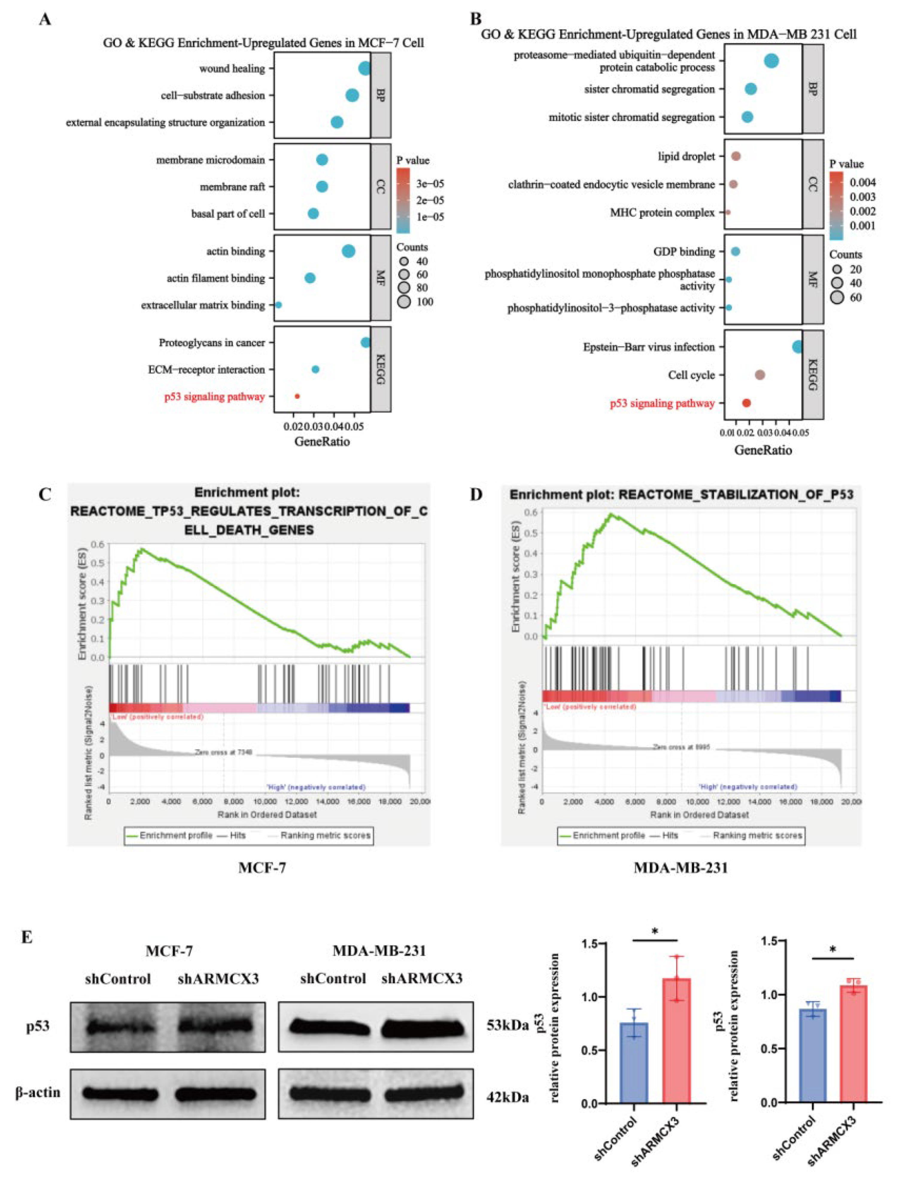 Preprints 223701 g003