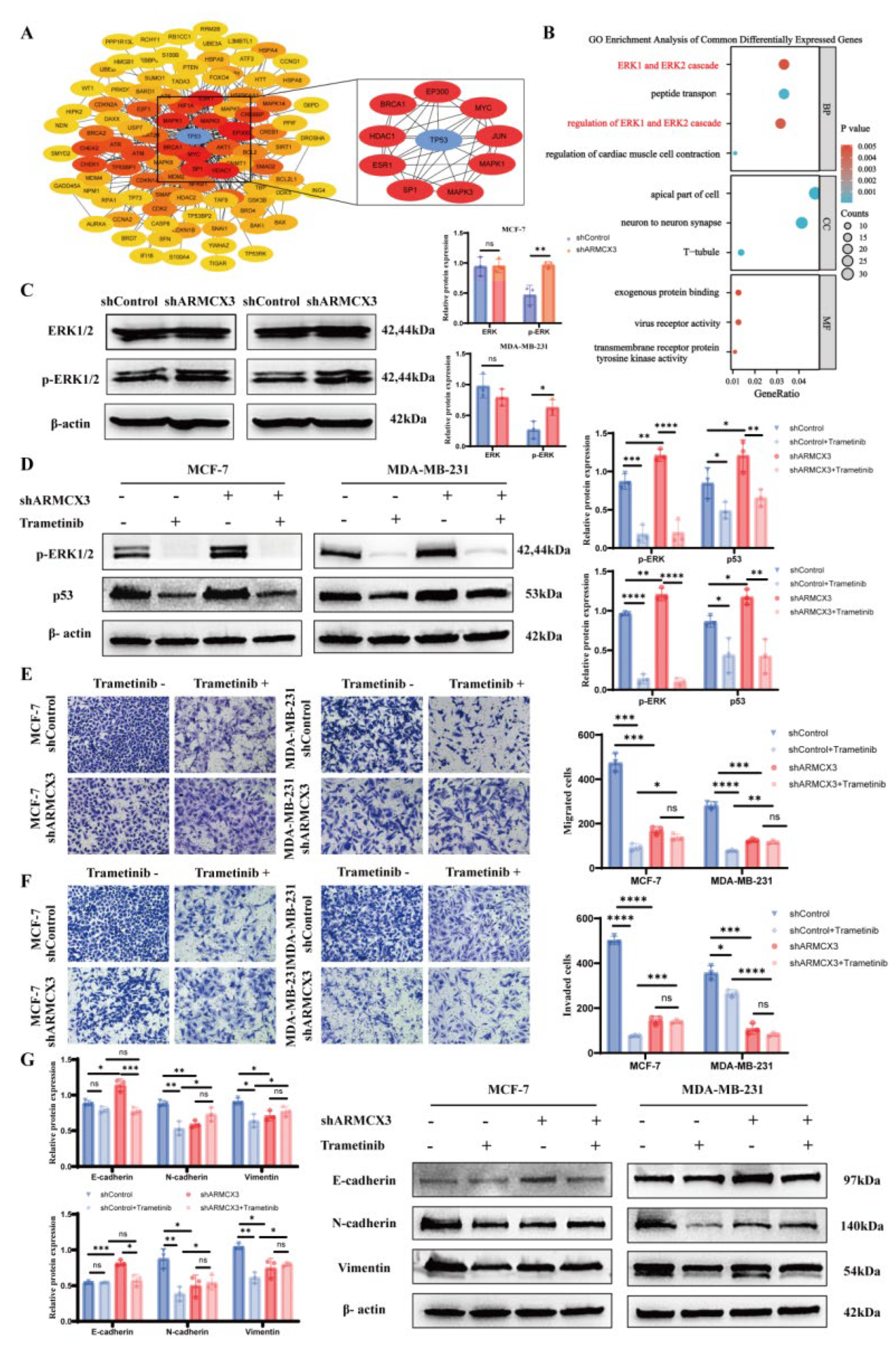 Preprints 223701 g006