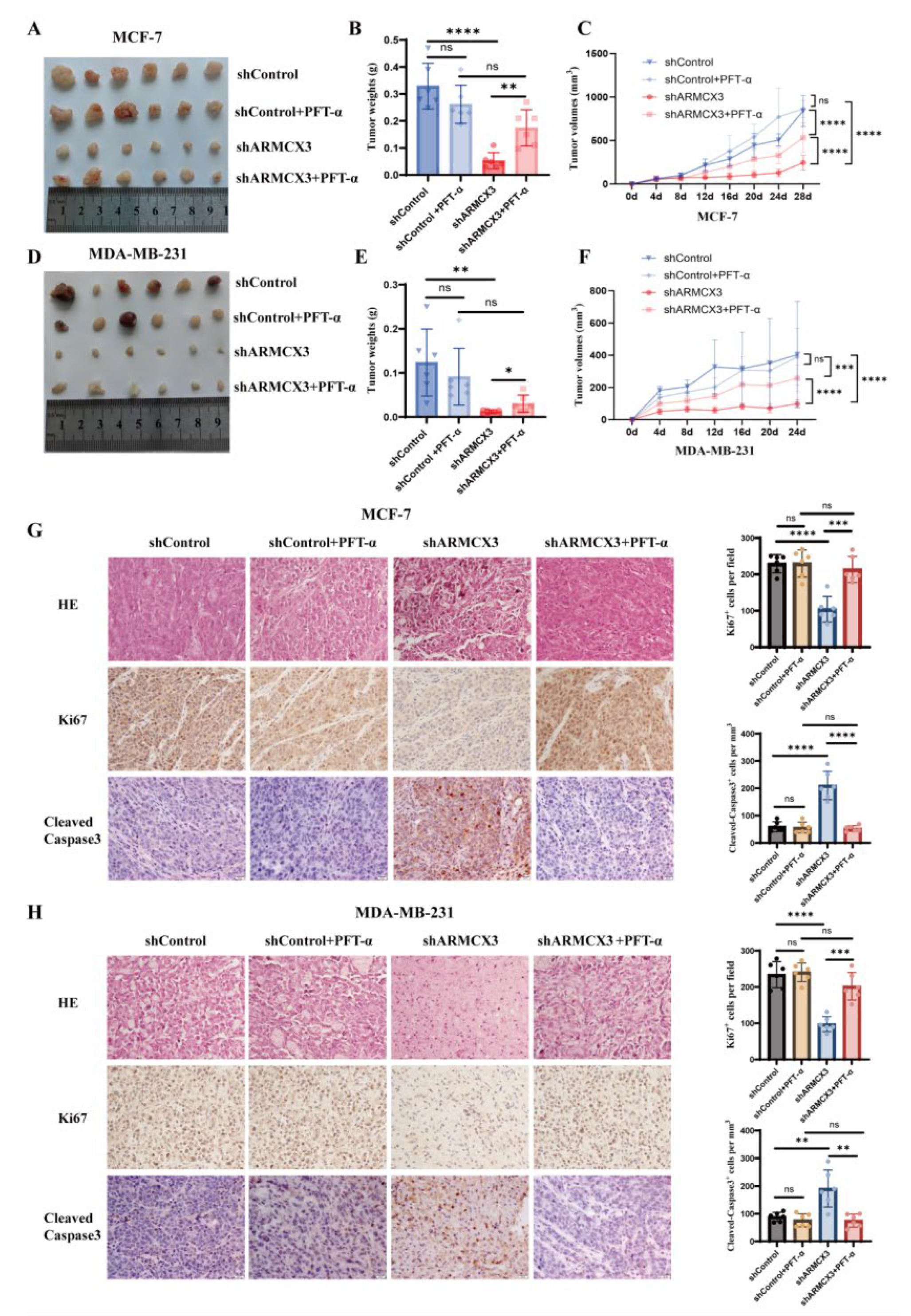 Preprints 223701 g007