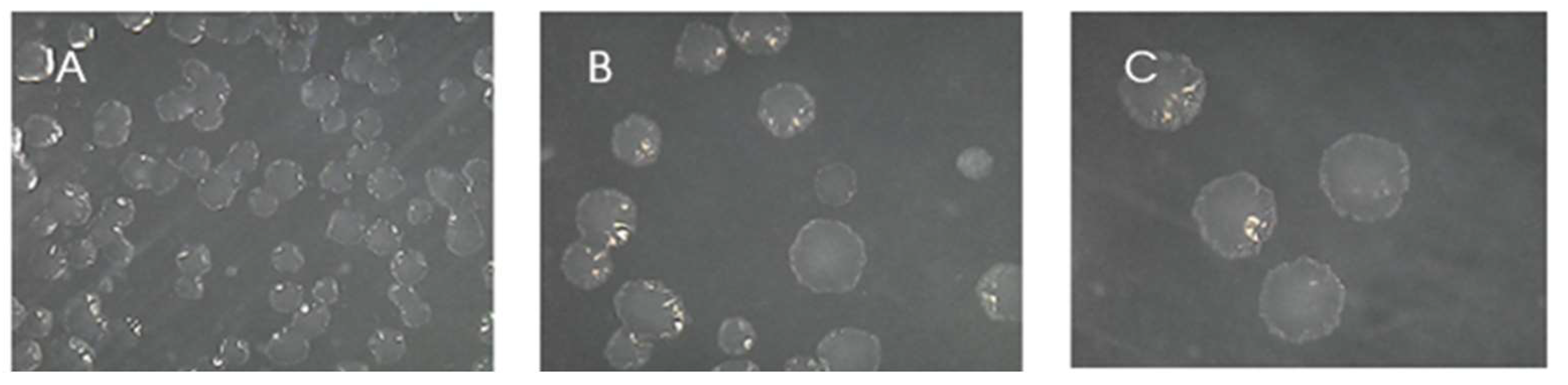 Preprints 97853 g002