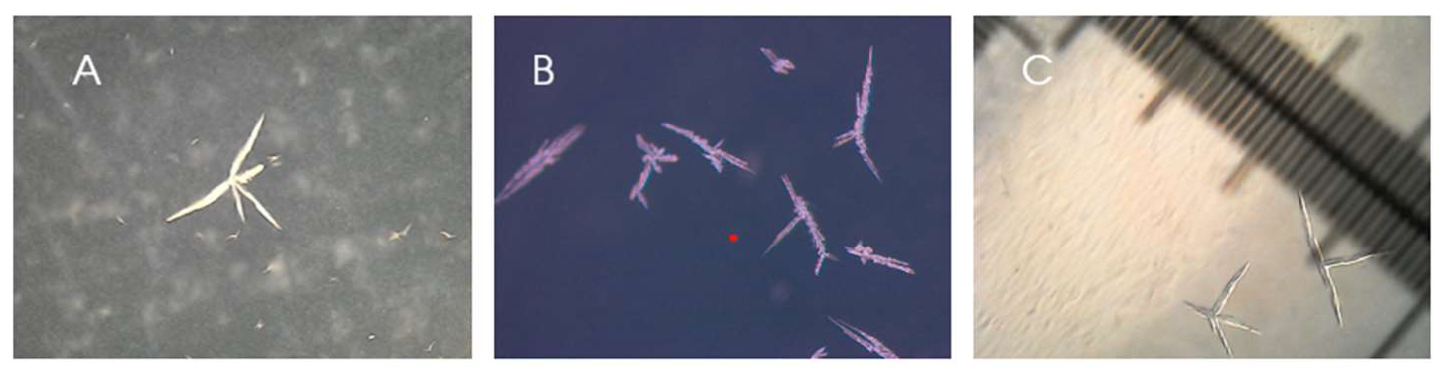 Preprints 97853 g003