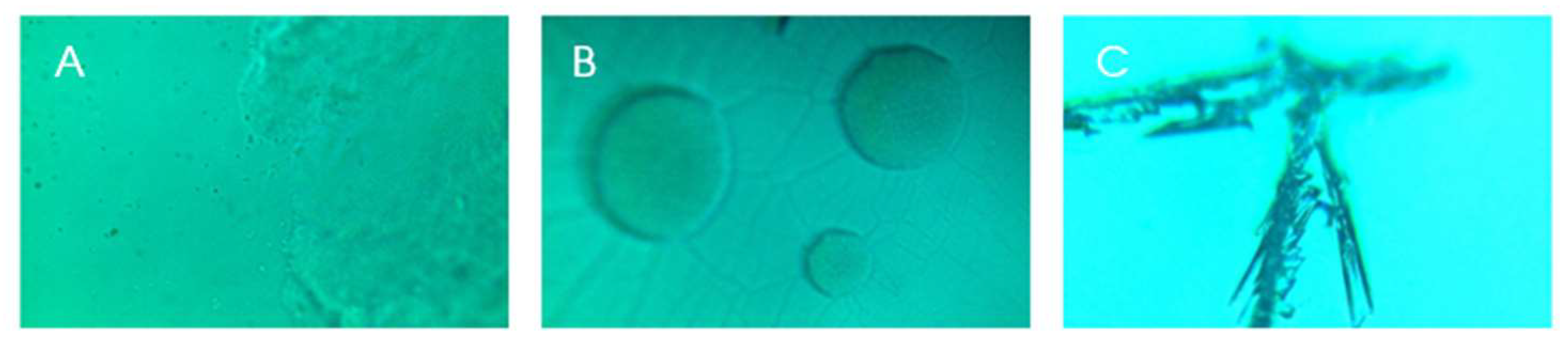 Preprints 97853 g004