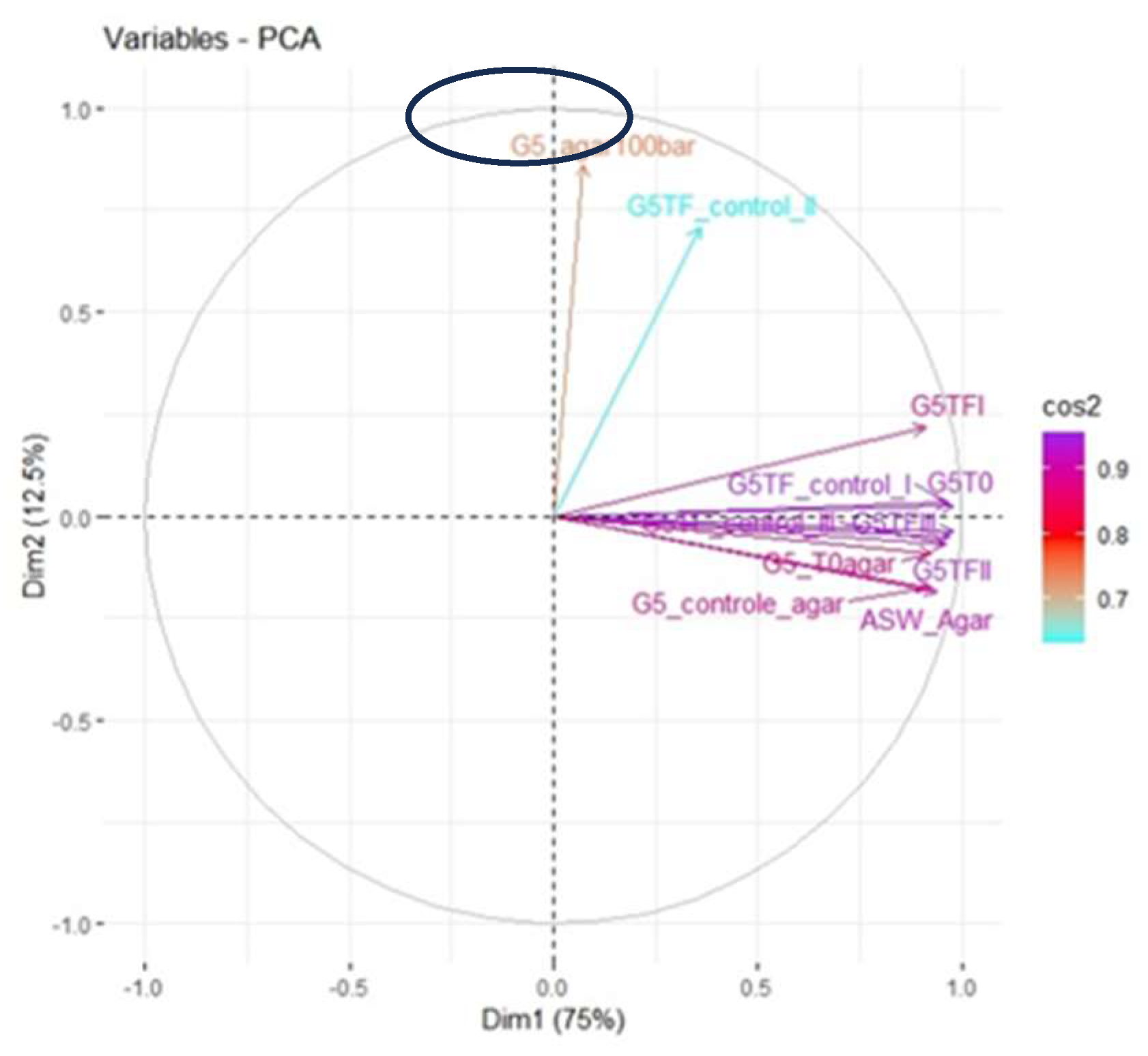 Preprints 97853 g005