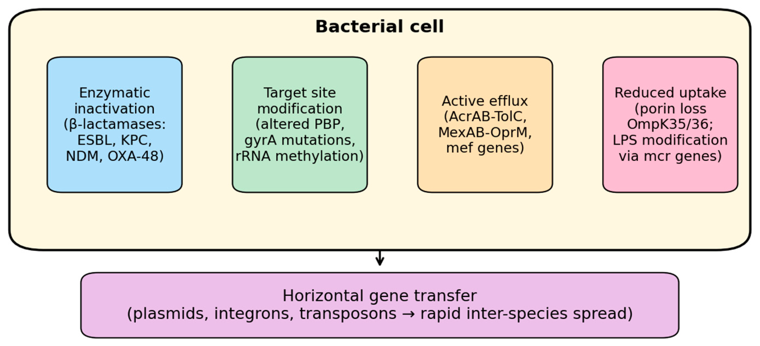 Preprints 214324 g002