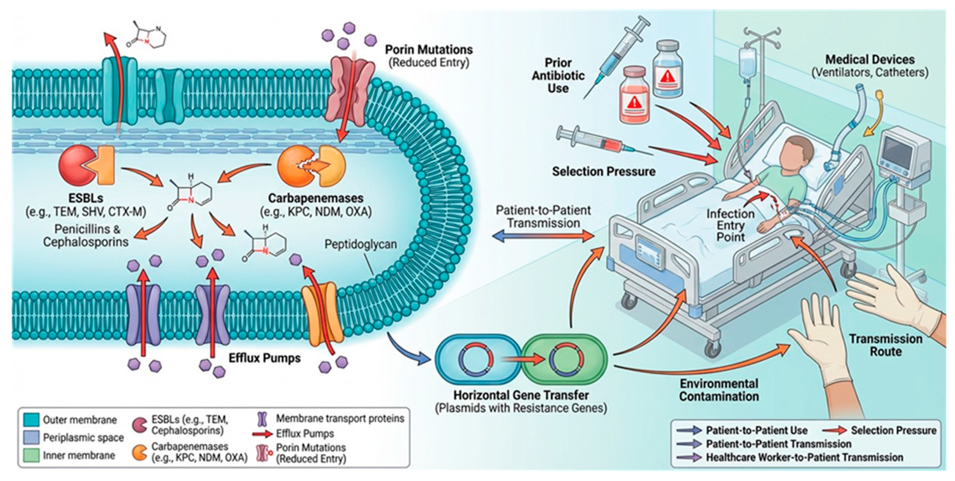 Preprints 214324 g003