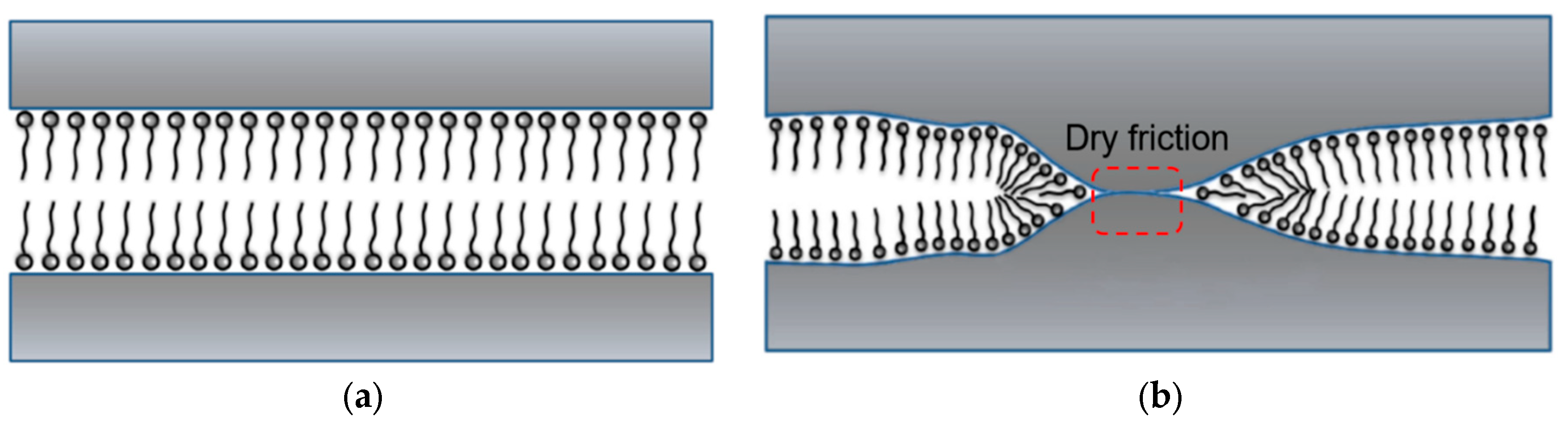 Preprints 167102 g002