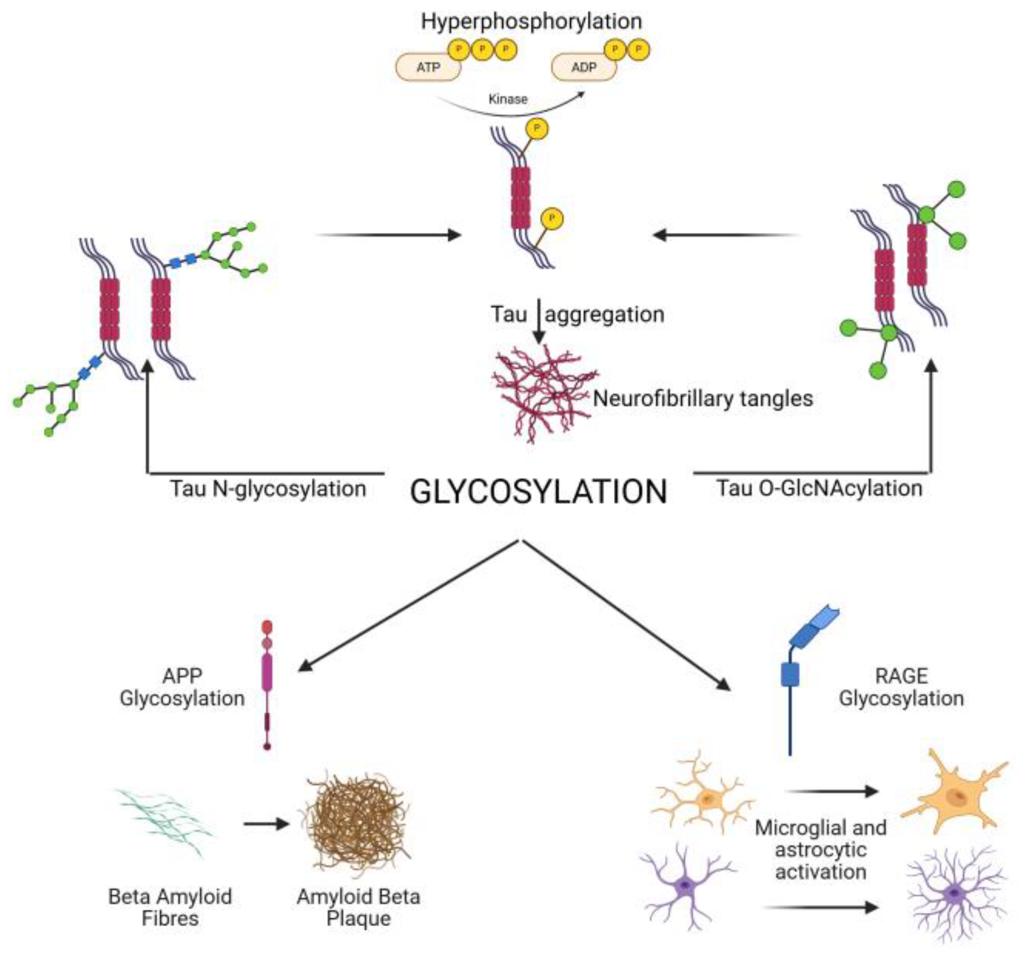 Preprints 181624 g001