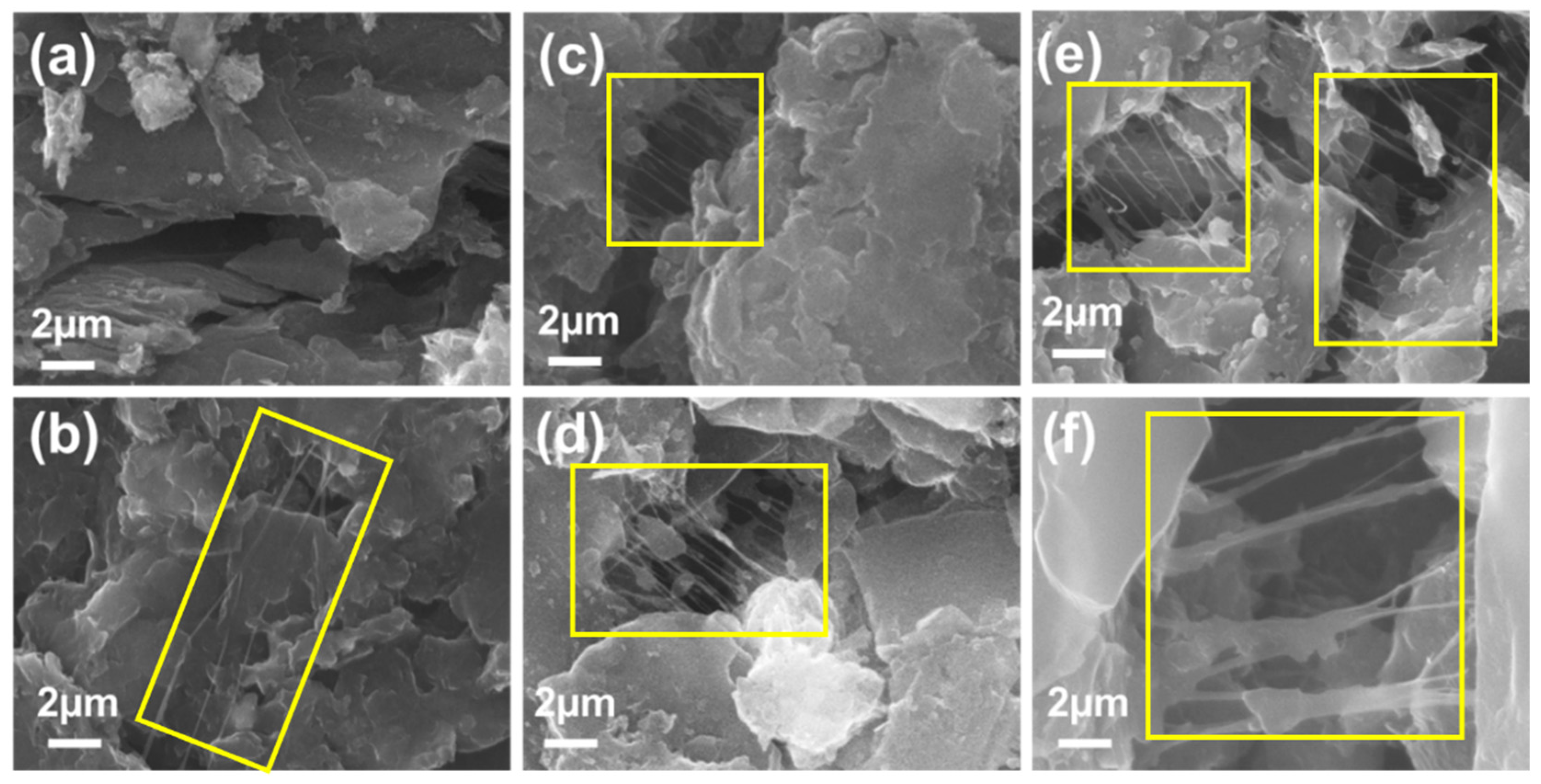 Preprints 156632 g002