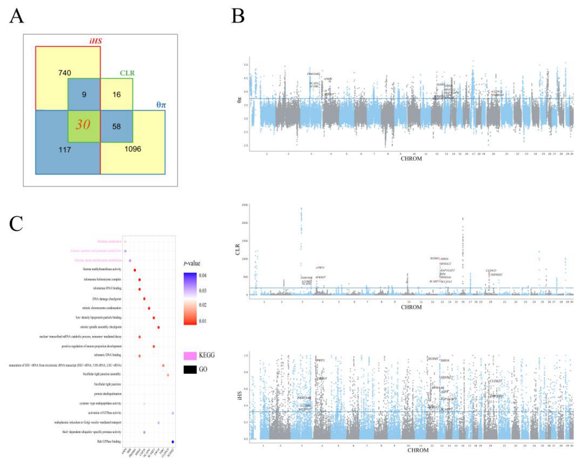 Preprints 236840 g004 Preprints 236840 g004