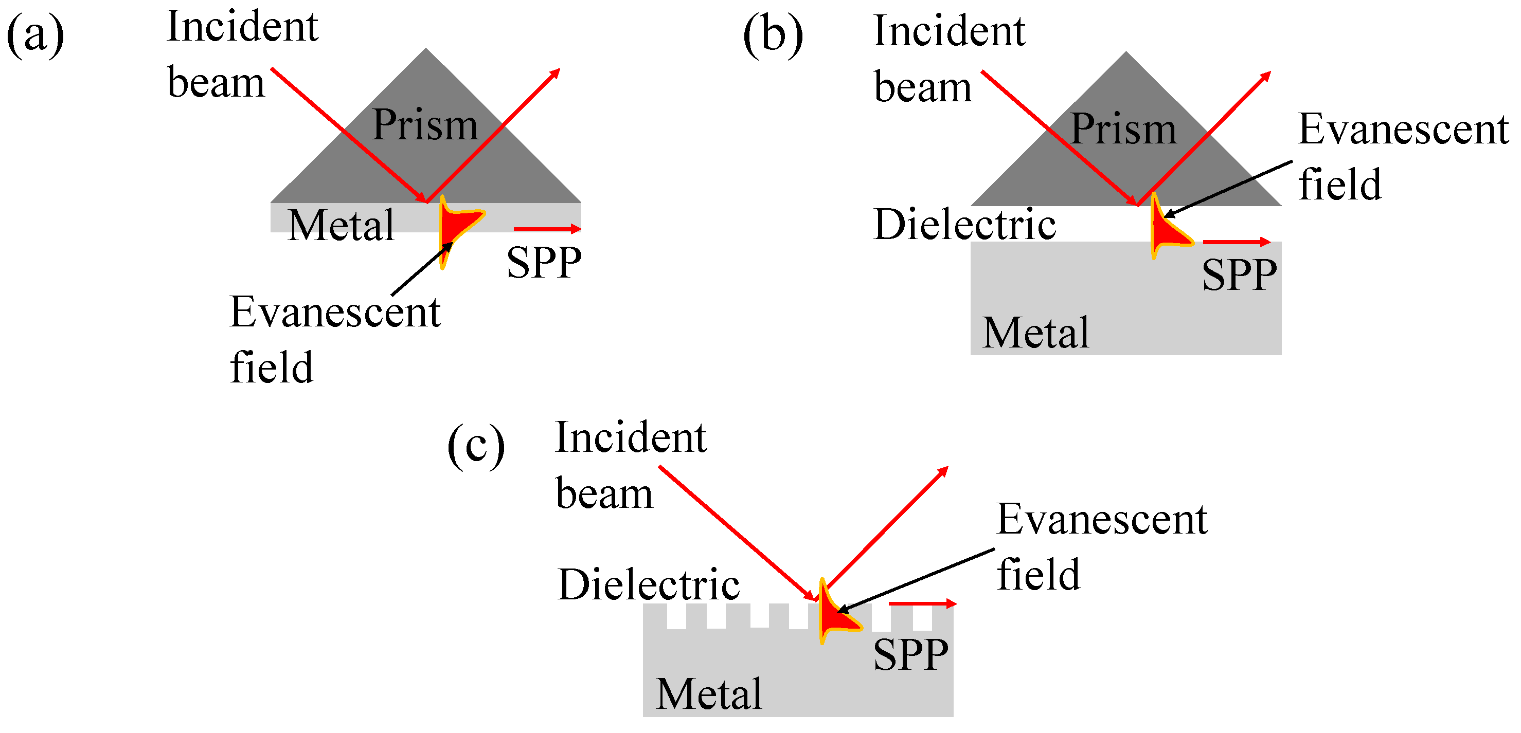 Preprints 143051 g002