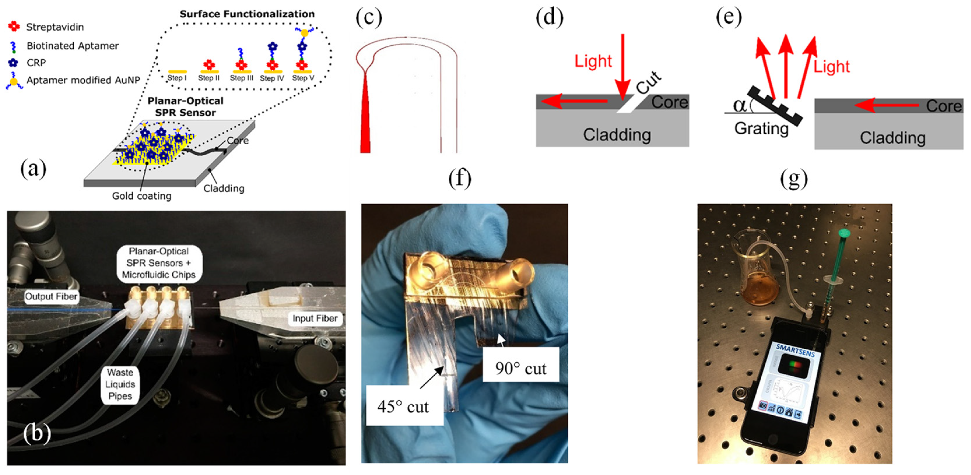 Preprints 143051 g004