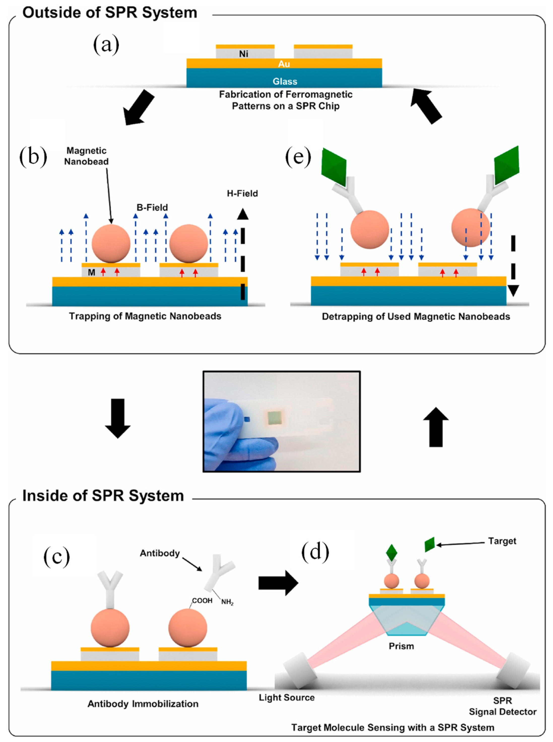 Preprints 143051 g006