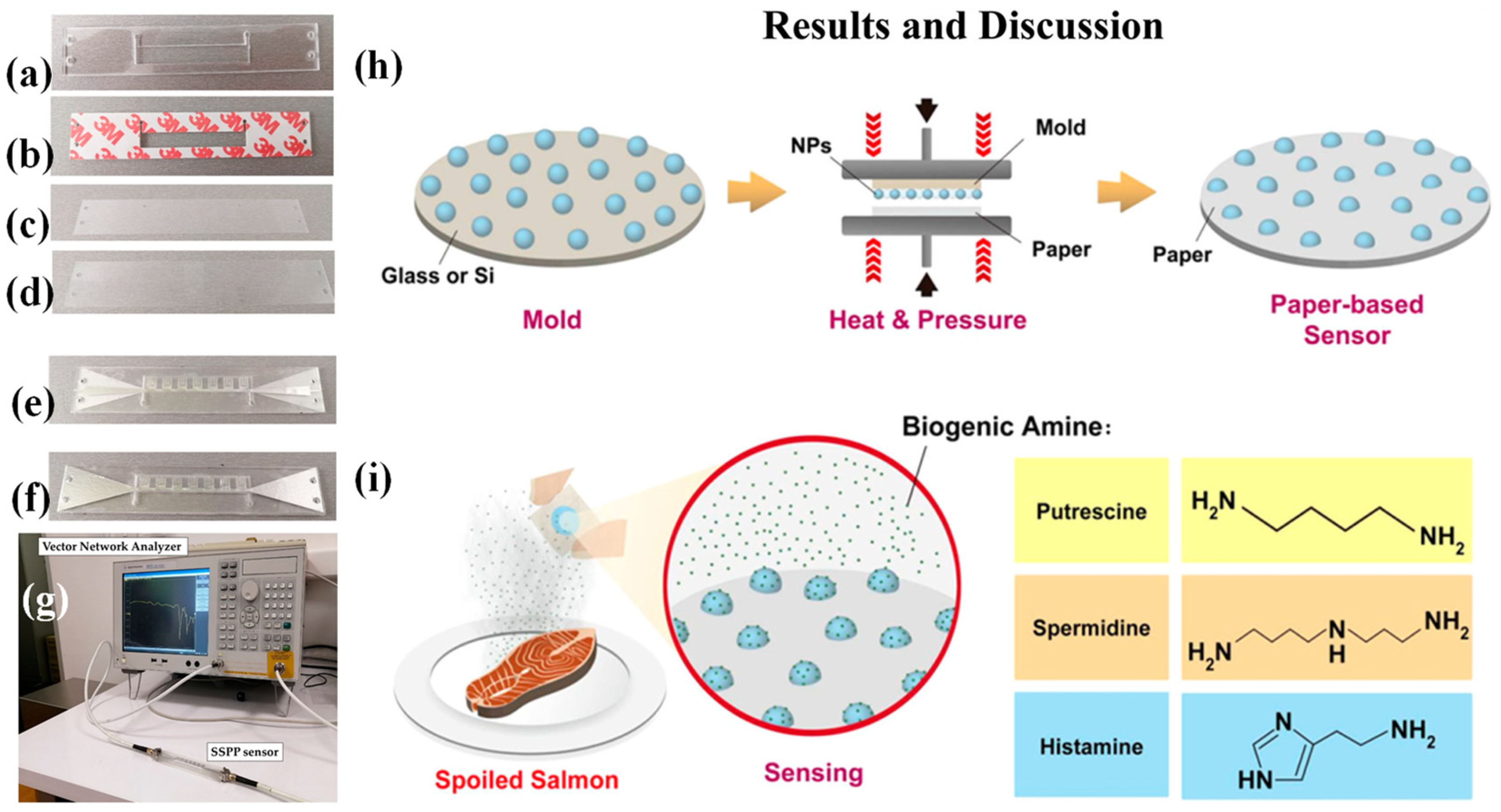 Preprints 143051 g009