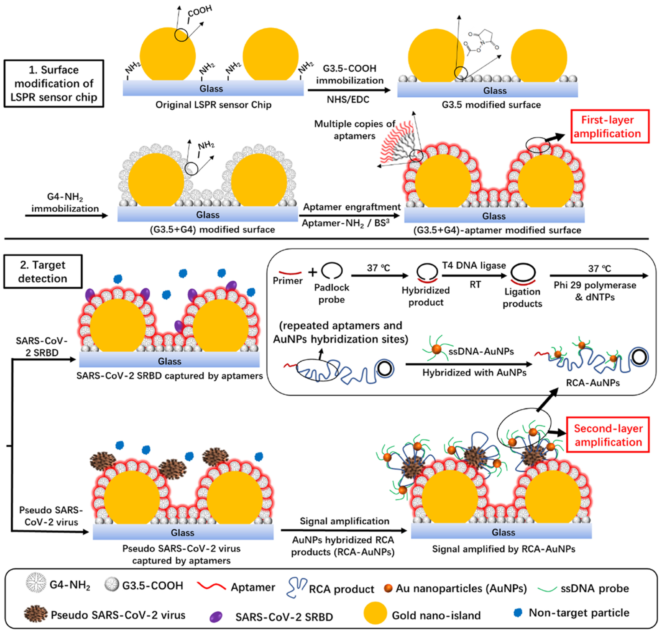 Preprints 143051 g011