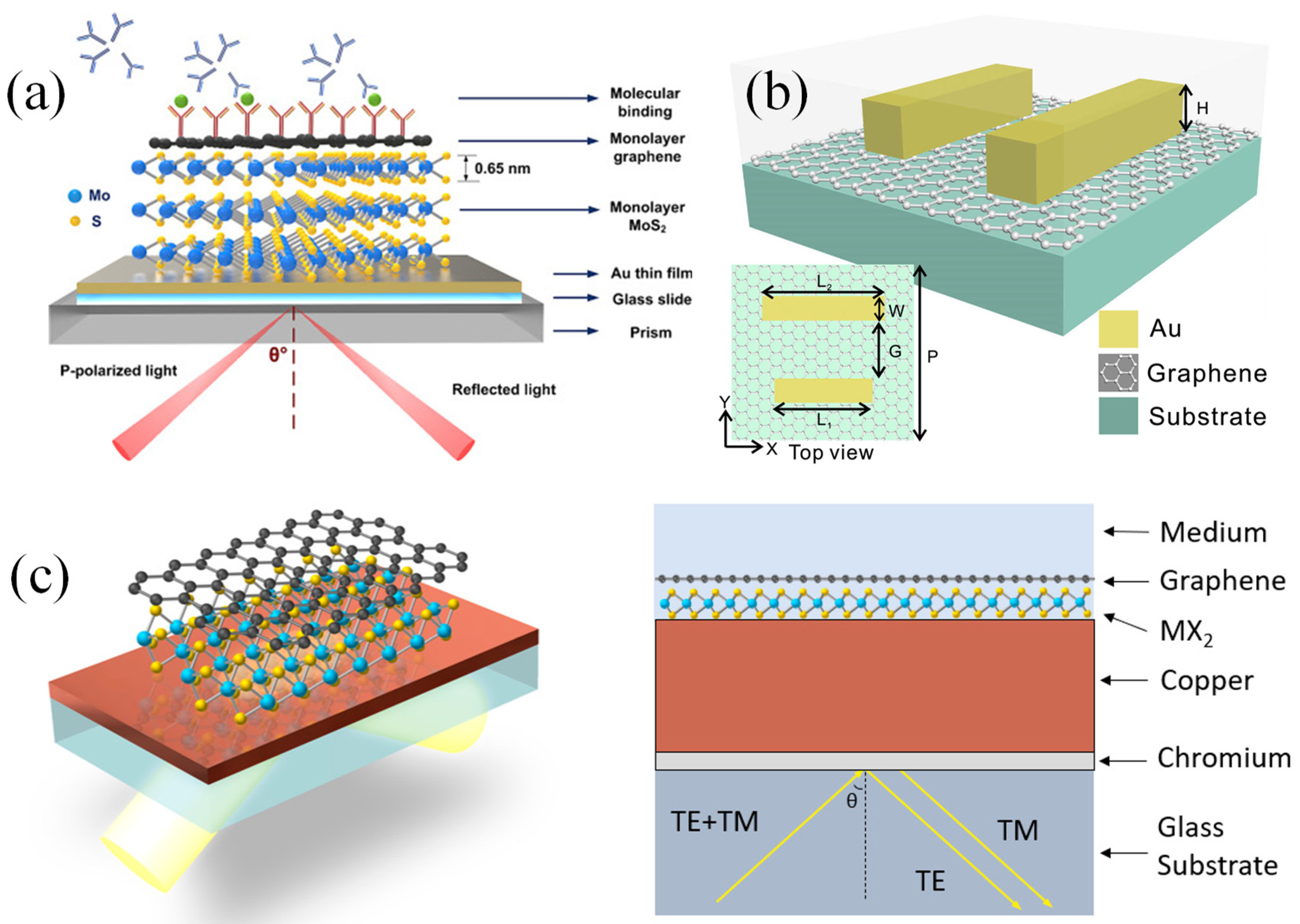 Preprints 143051 g012
