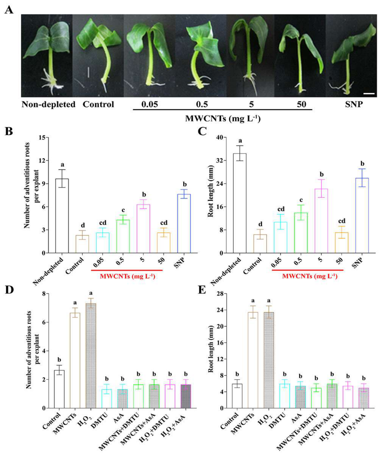 Preprints 235899 g001 Preprints 235899 g001