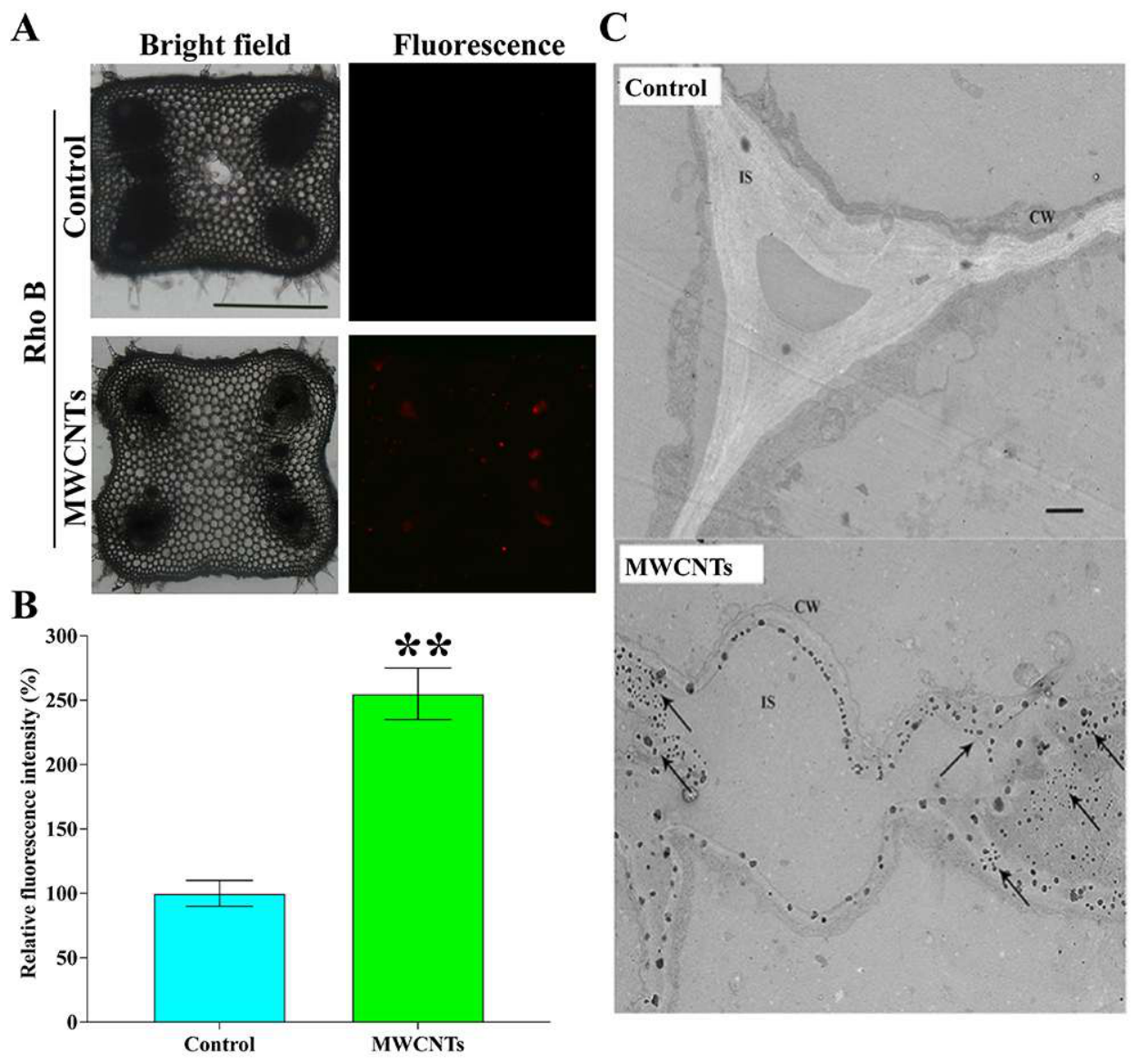 Preprints 235899 g002 Preprints 235899 g002
