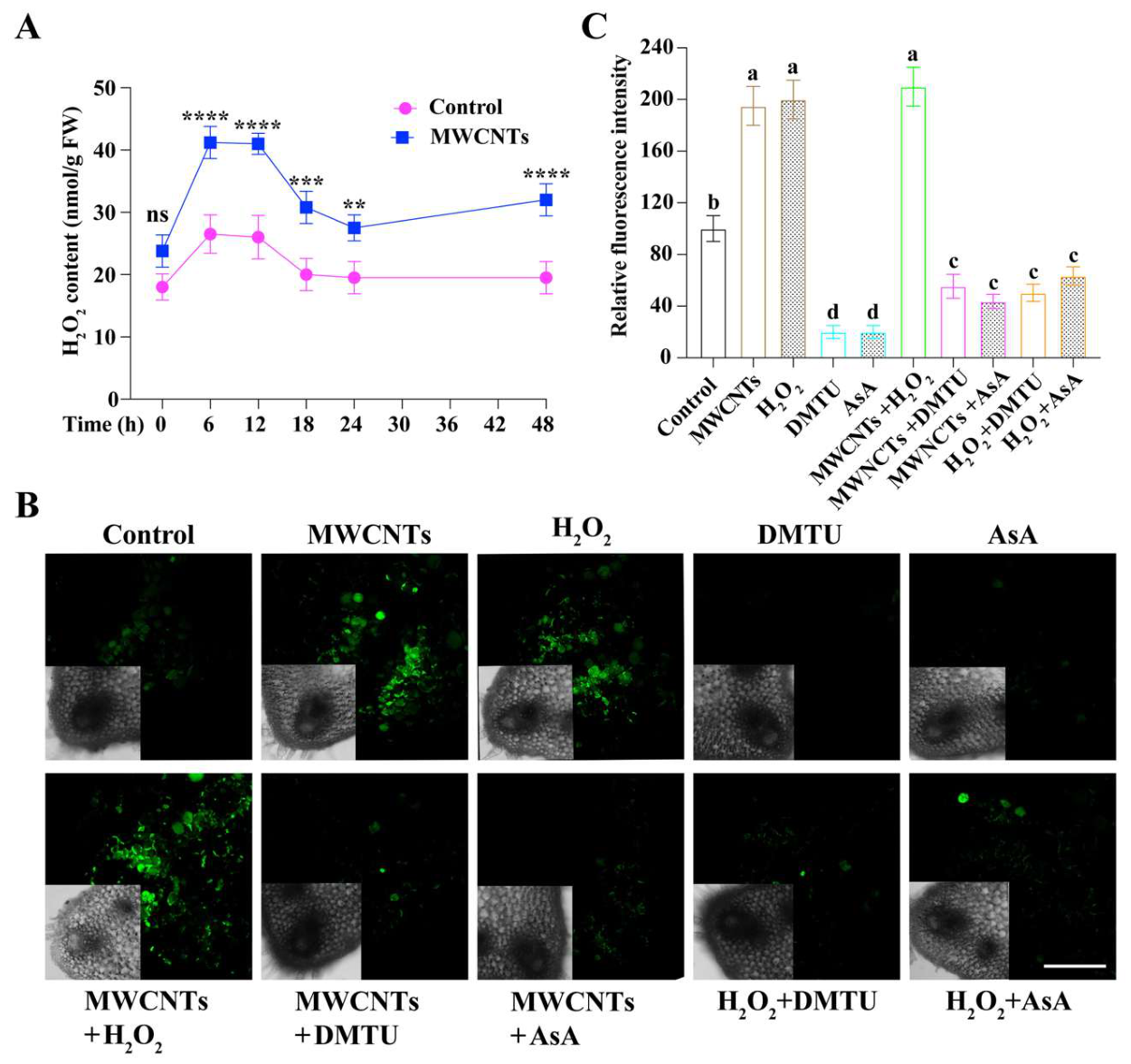 Preprints 235899 g003 Preprints 235899 g003
