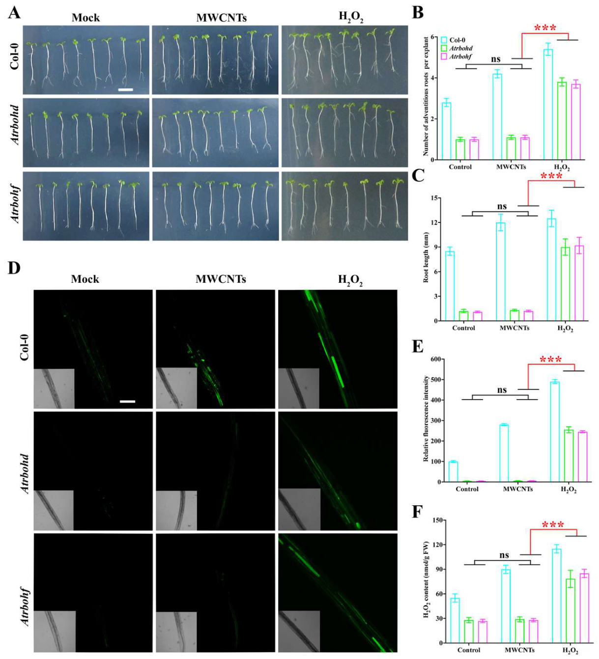 Preprints 235899 g005 Preprints 235899 g005