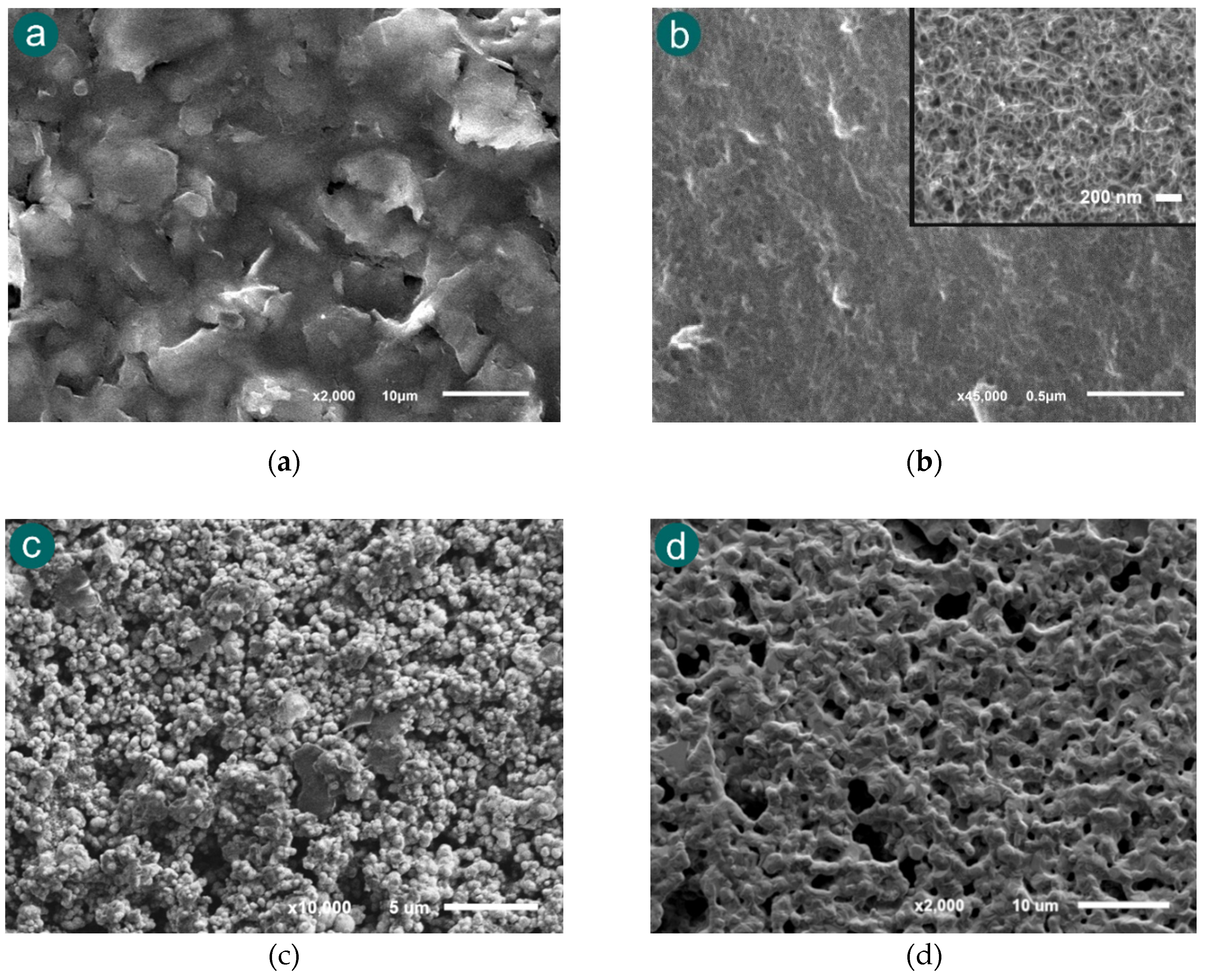 Preprints 176935 g004