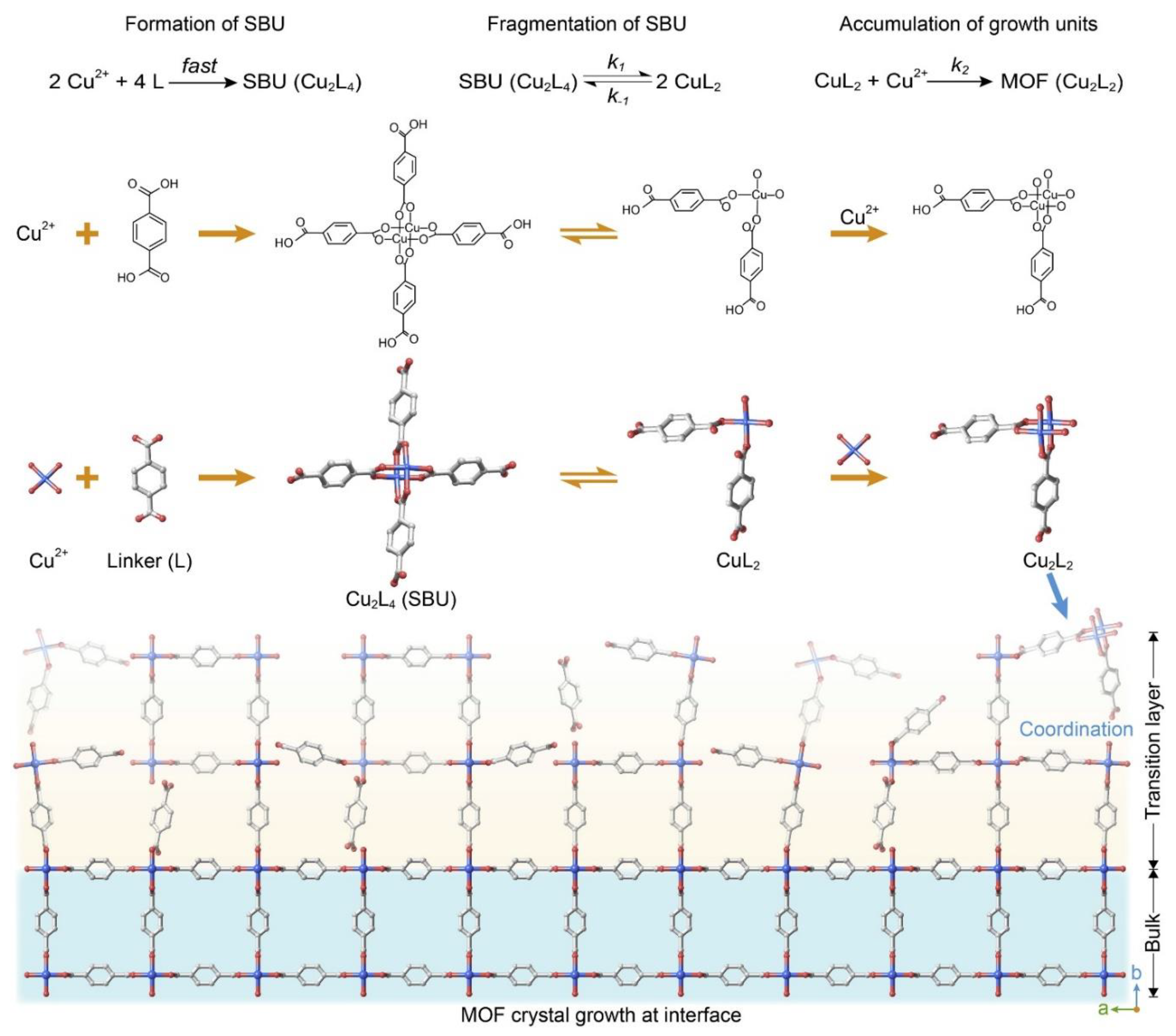 Preprints 146367 g001