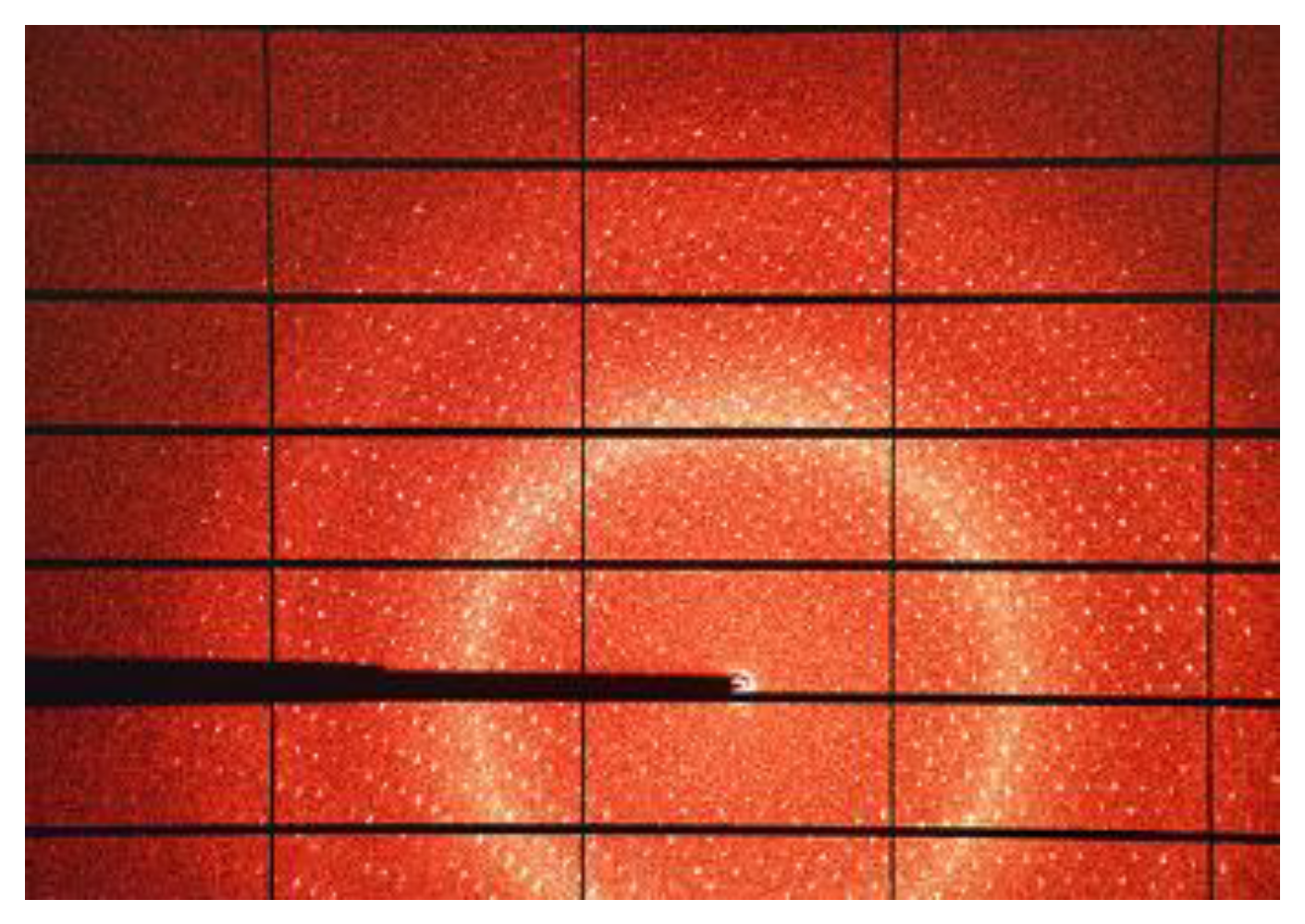 Preprints 146367 g002