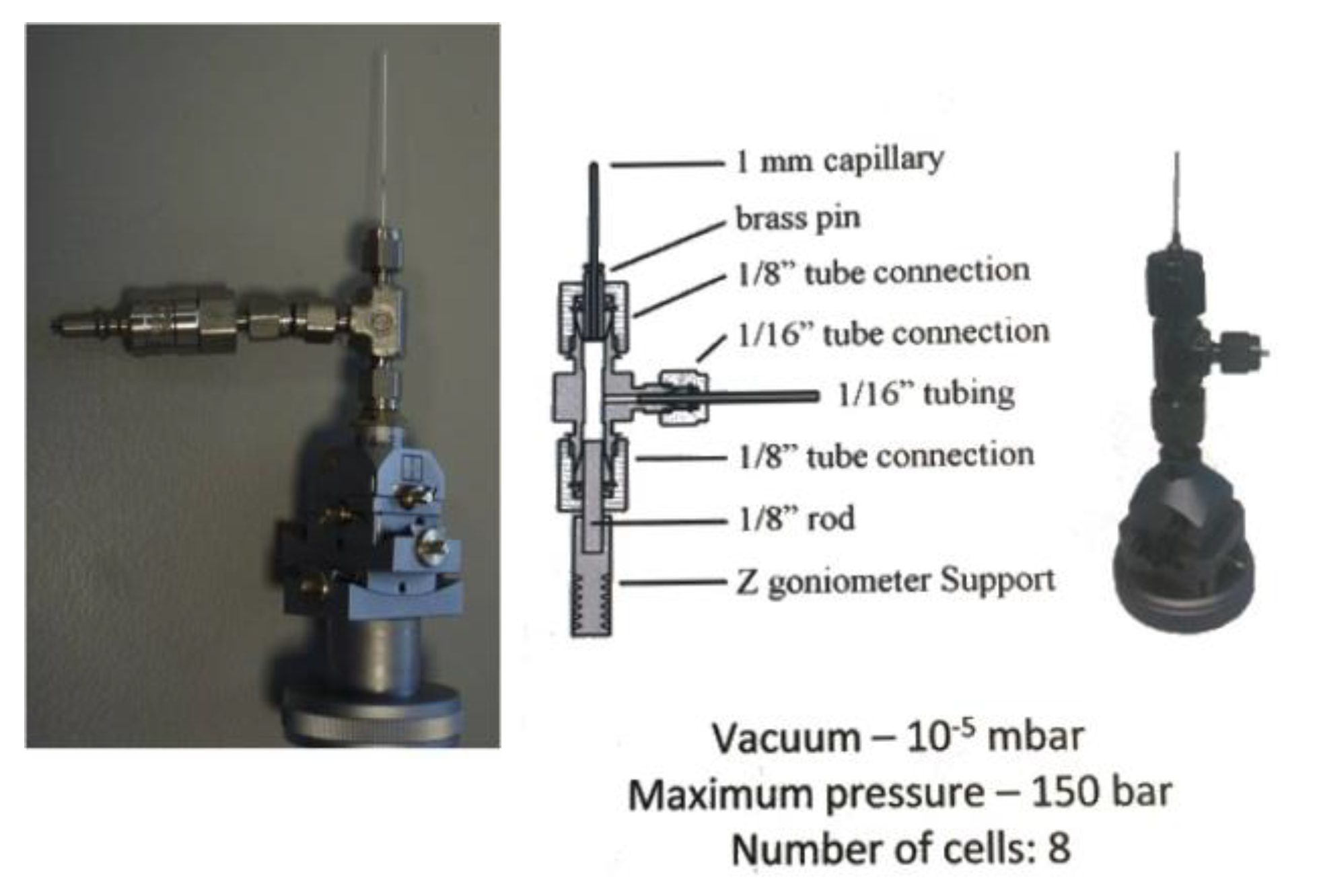 Preprints 146367 g004