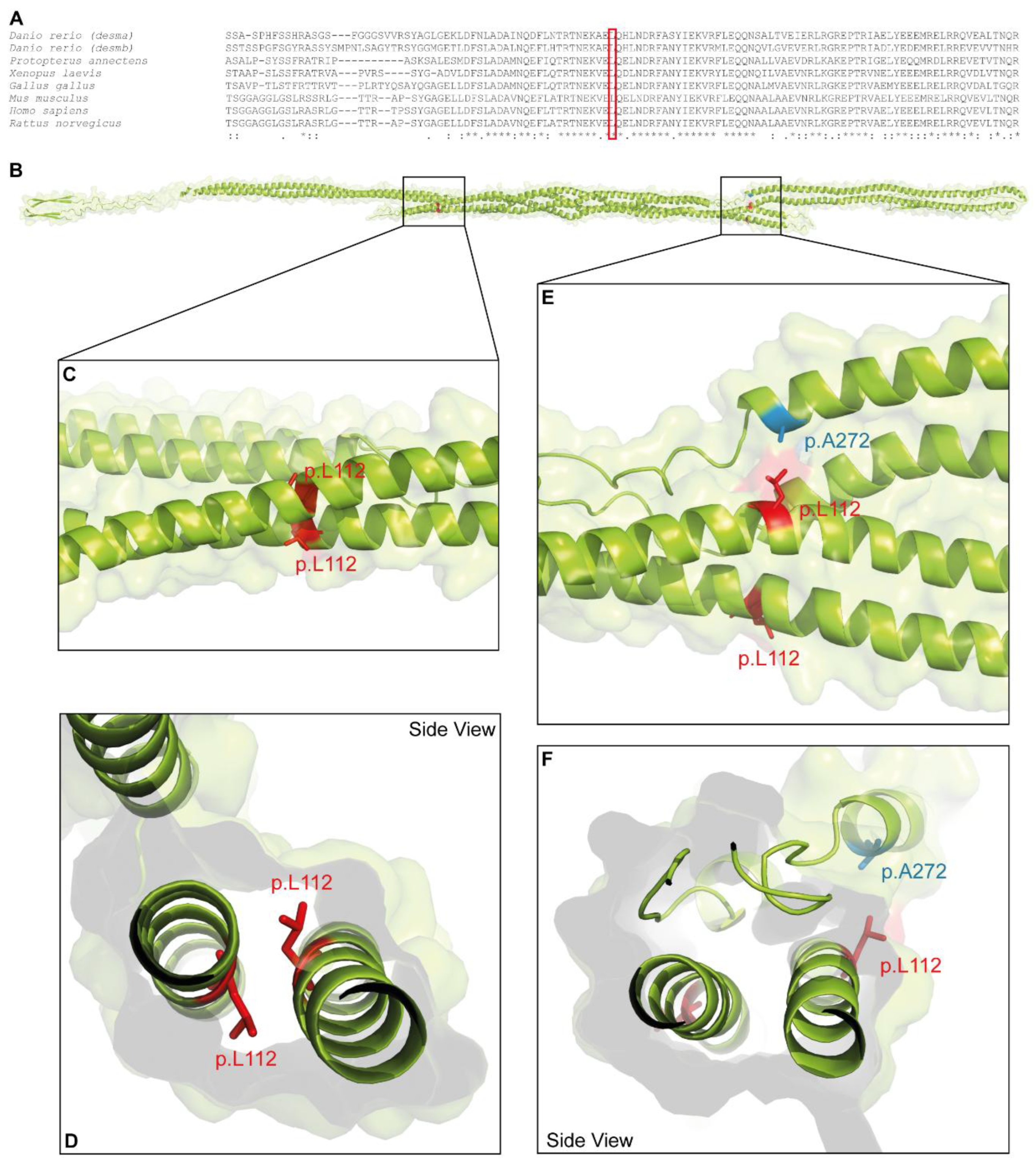 Preprints 187436 g001