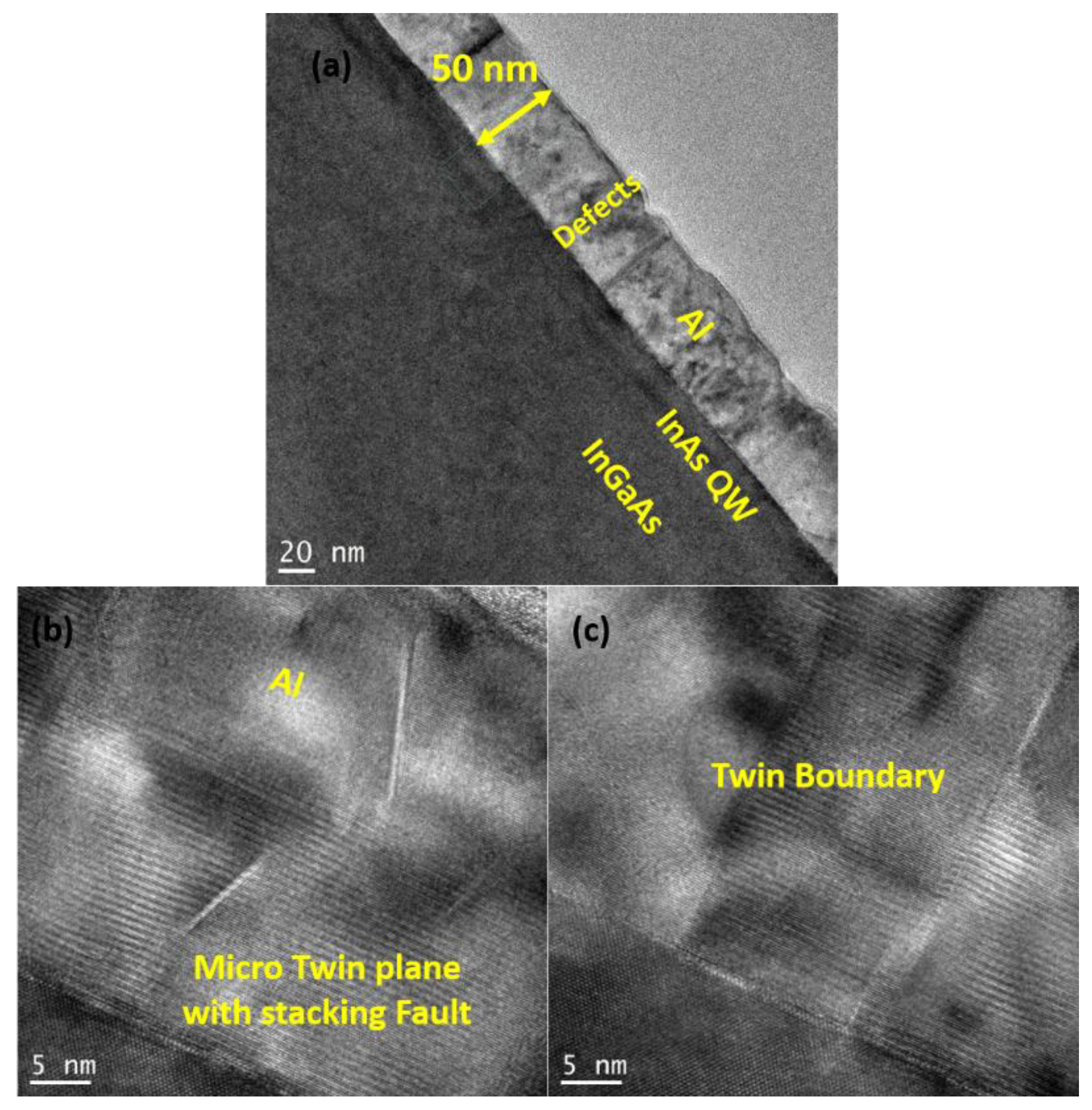 Preprints 142855 g007