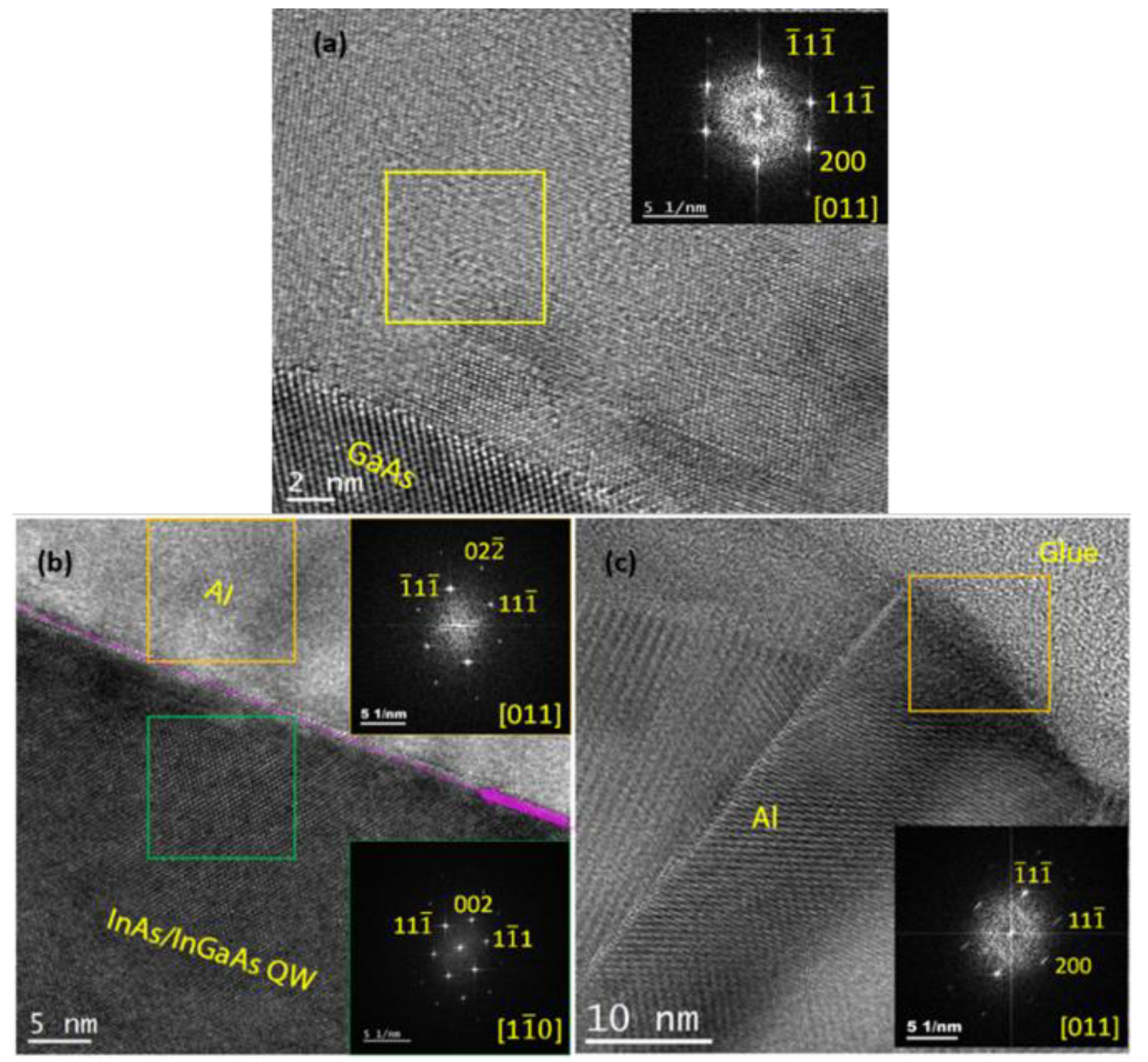 Preprints 142855 g008