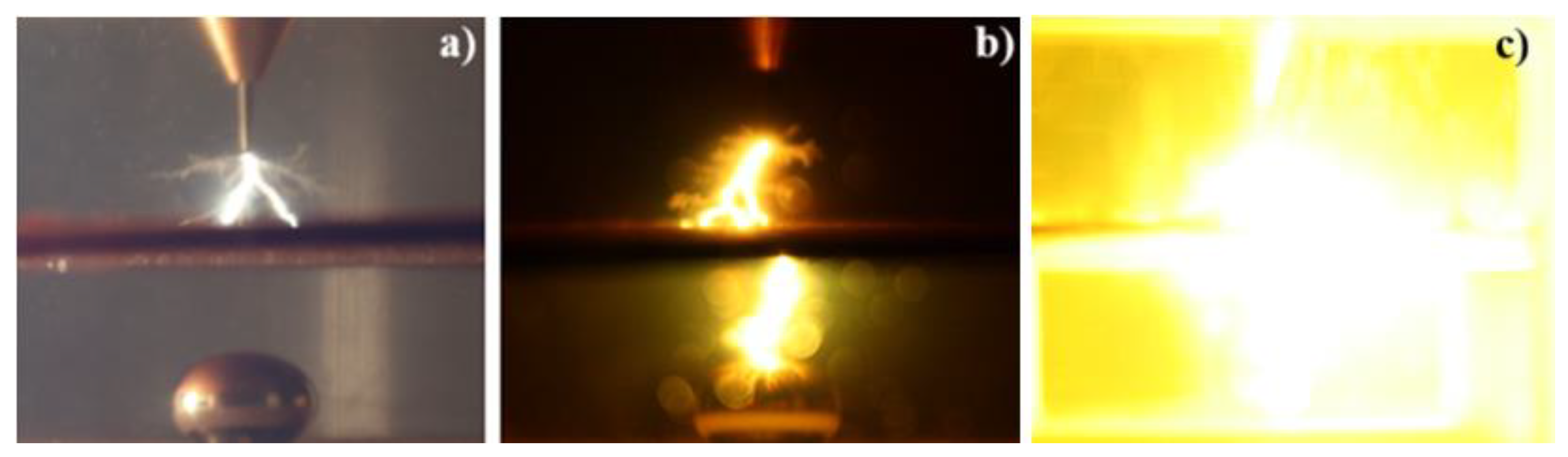 Preprints 184972 g006