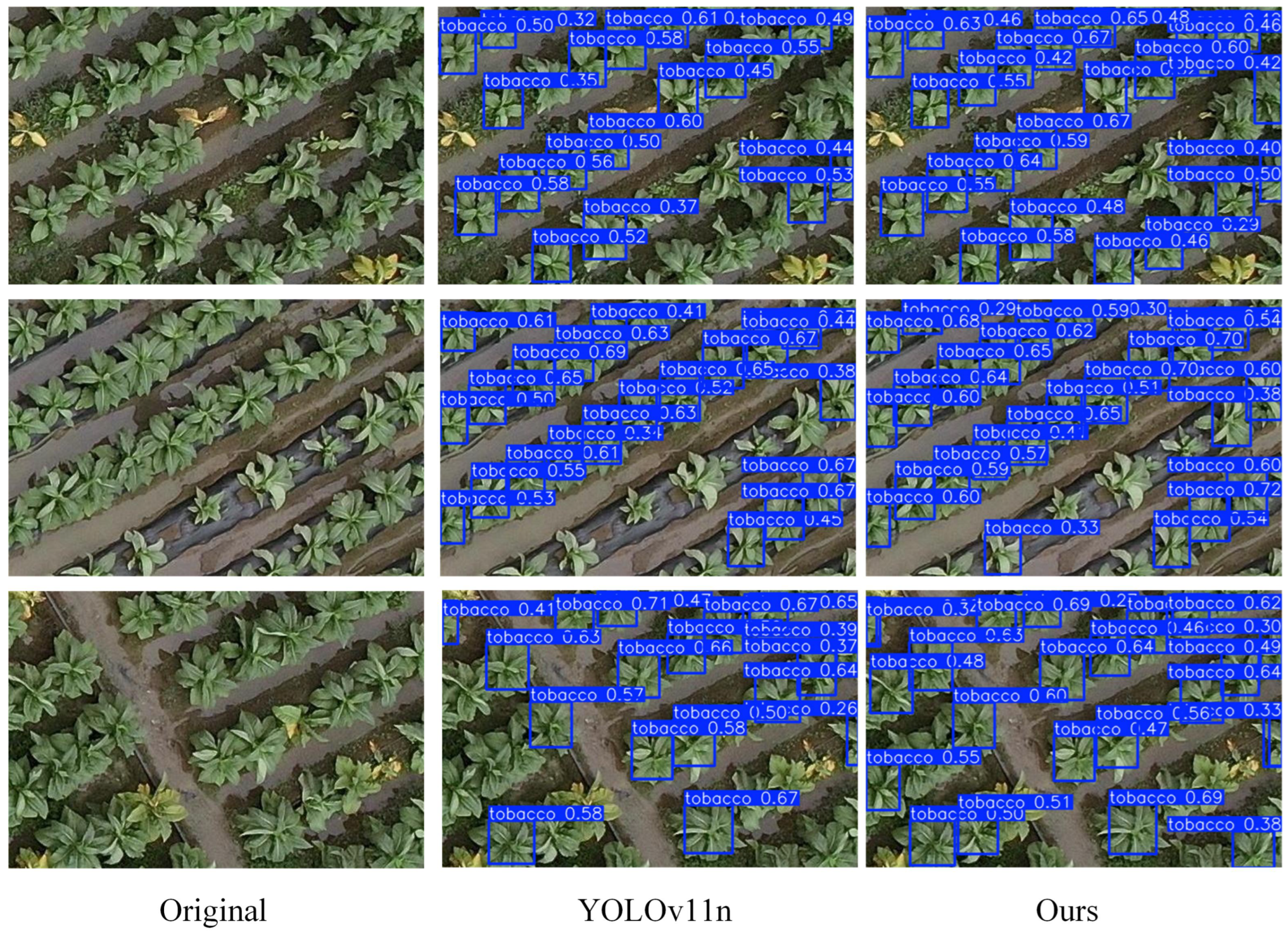 Preprints 216653 g010