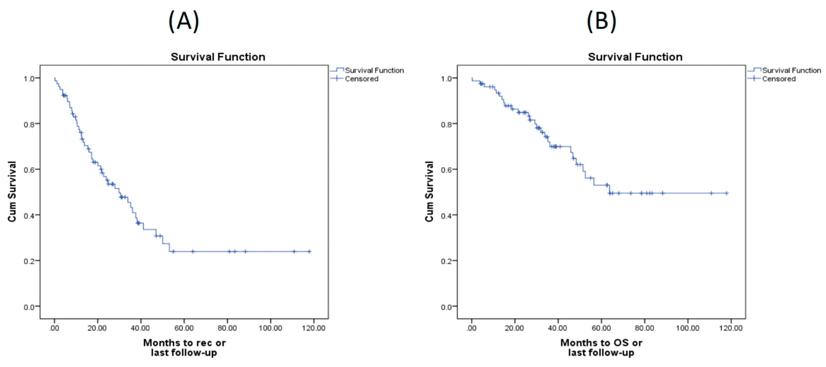 Preprints 153255 g001