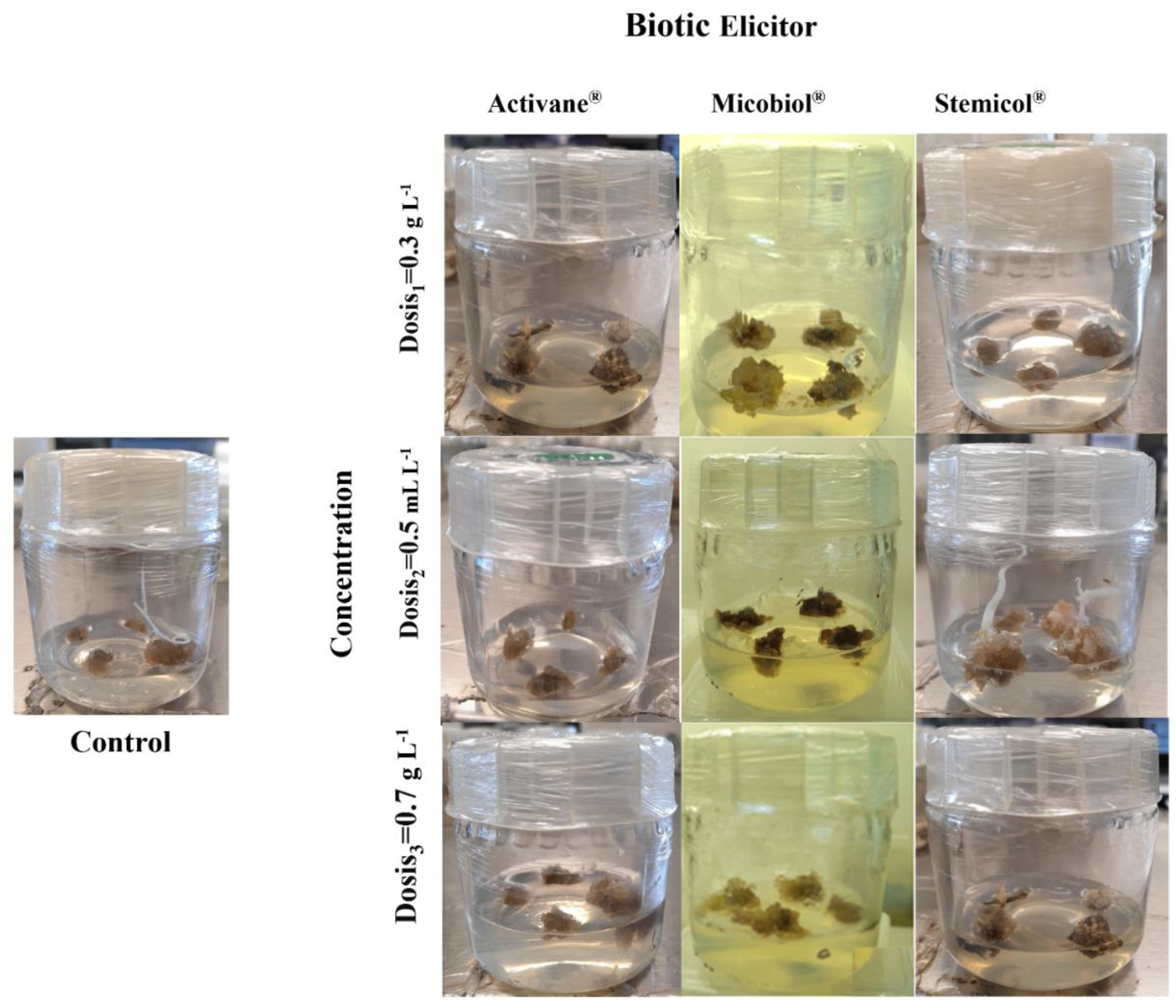 Preprints 173541 g005