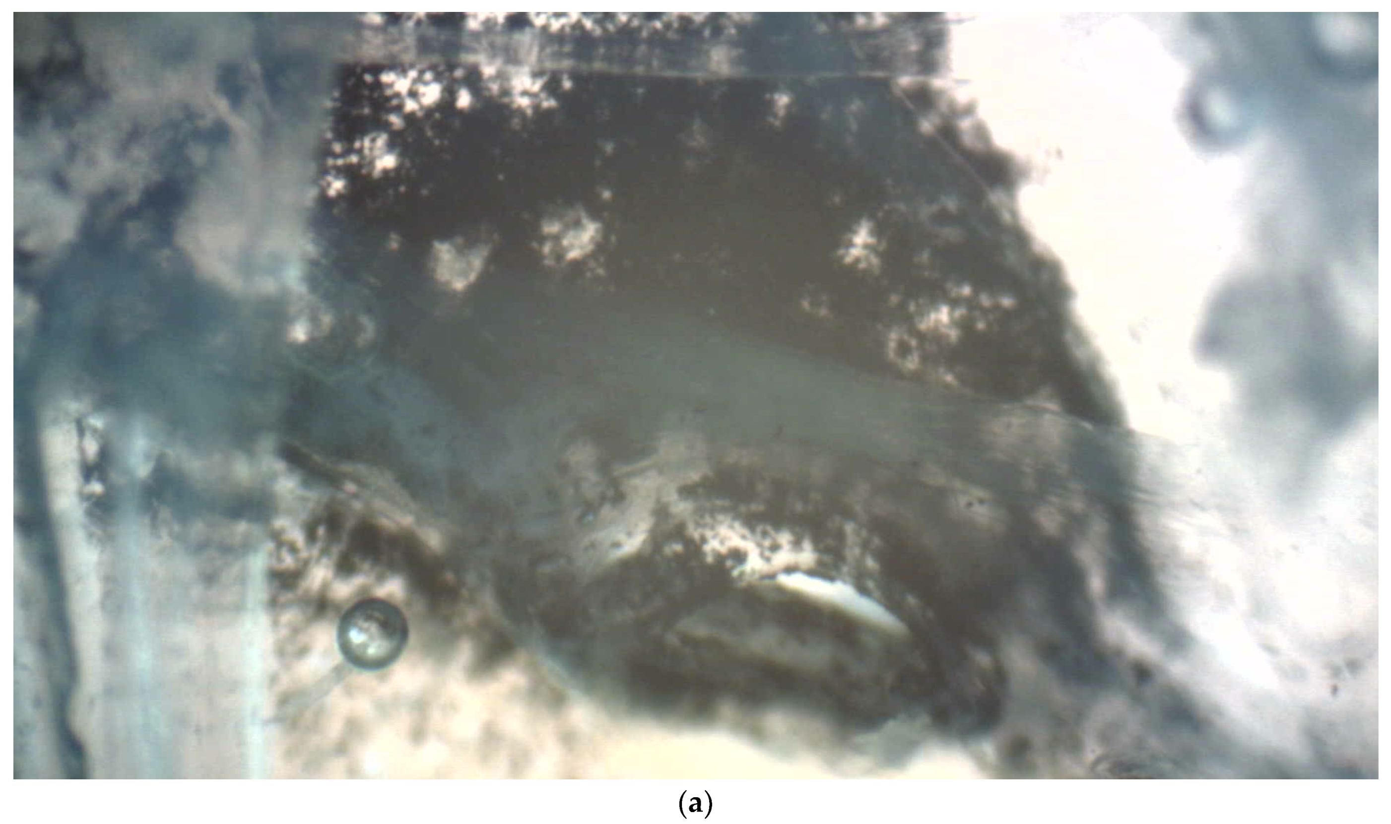 Preprints 199566 g002a