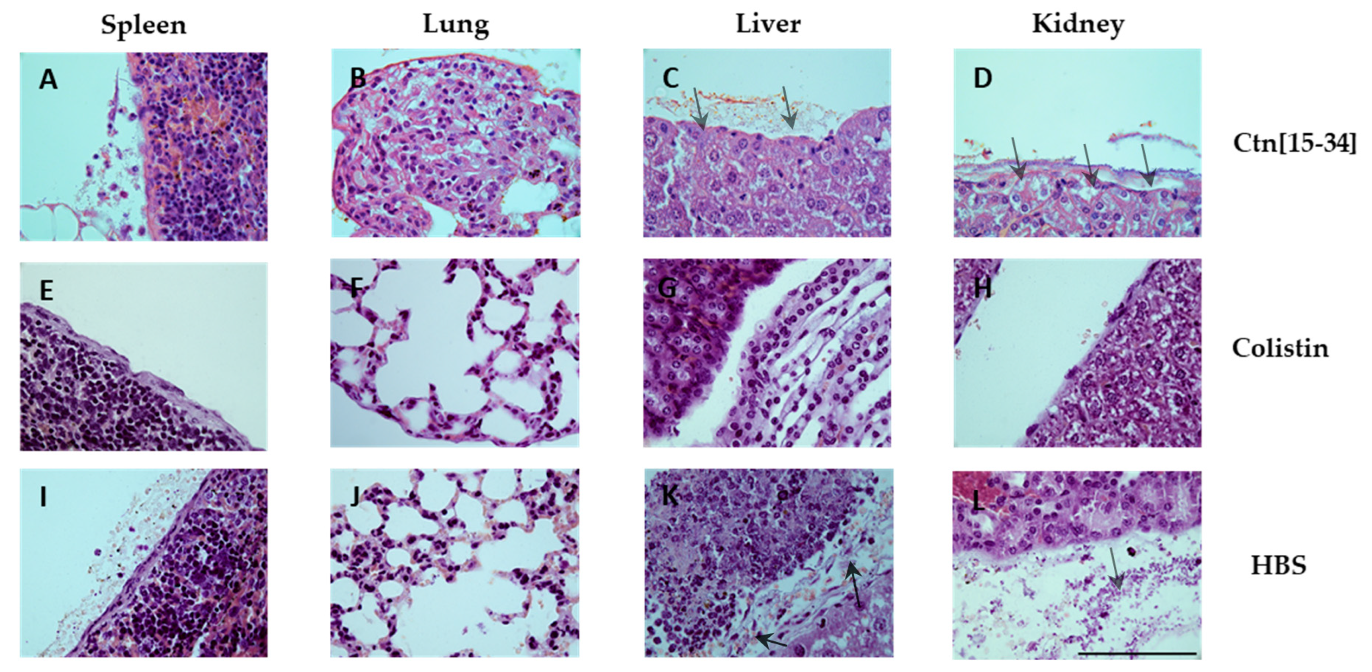 Preprints 114265 g006
