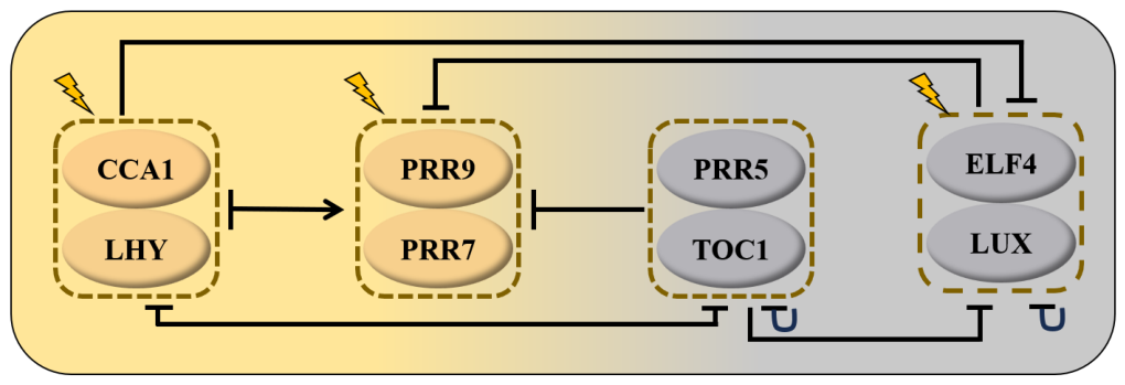 Preprints 225804 g001 Preprints 225804 g001