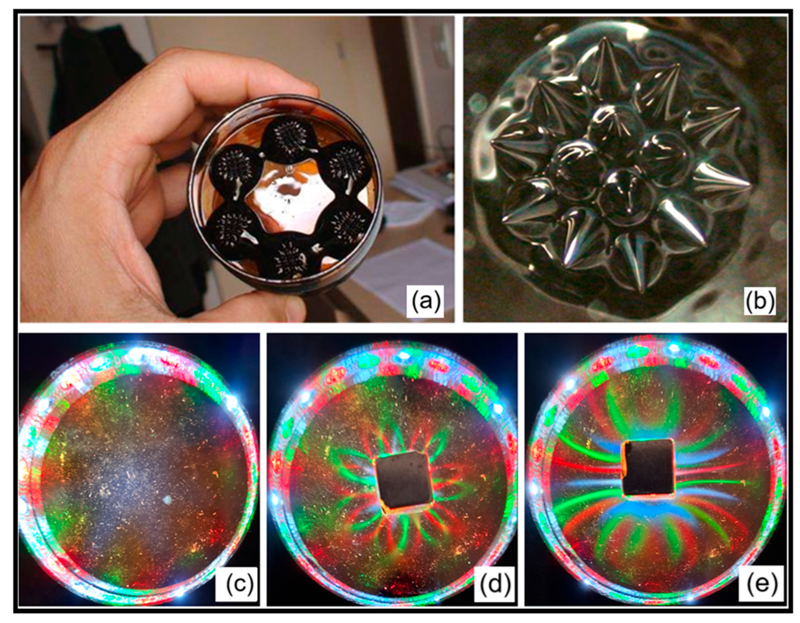 Preprints 170145 g001