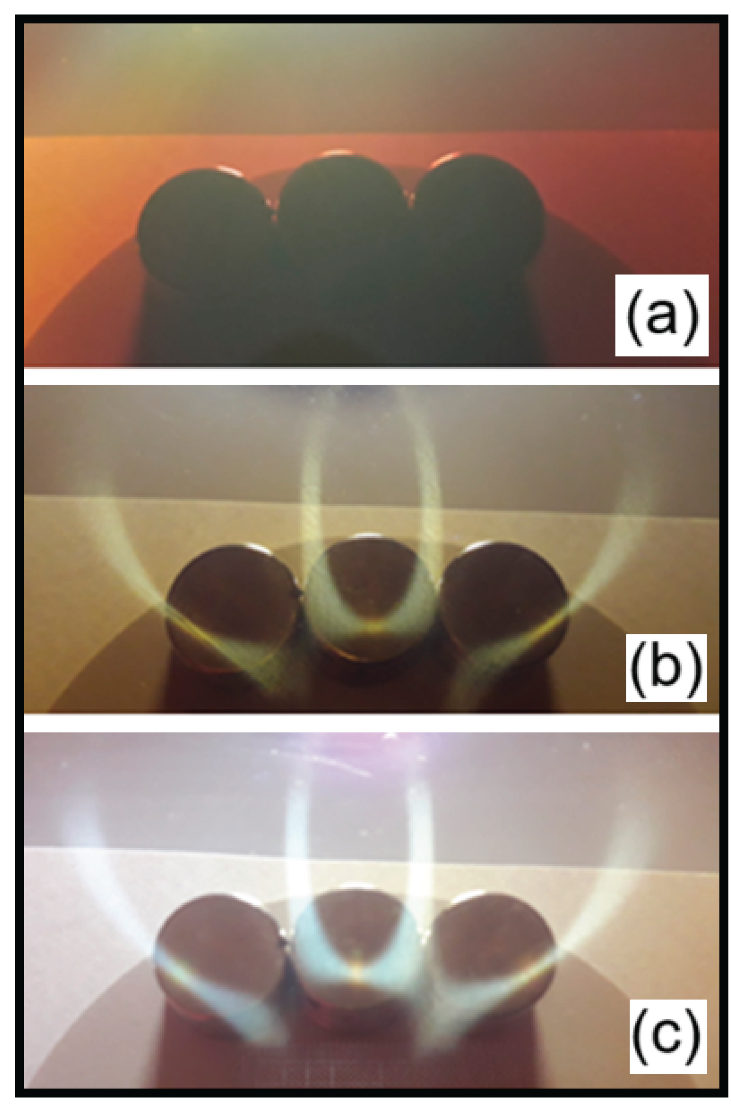 Preprints 170145 g004