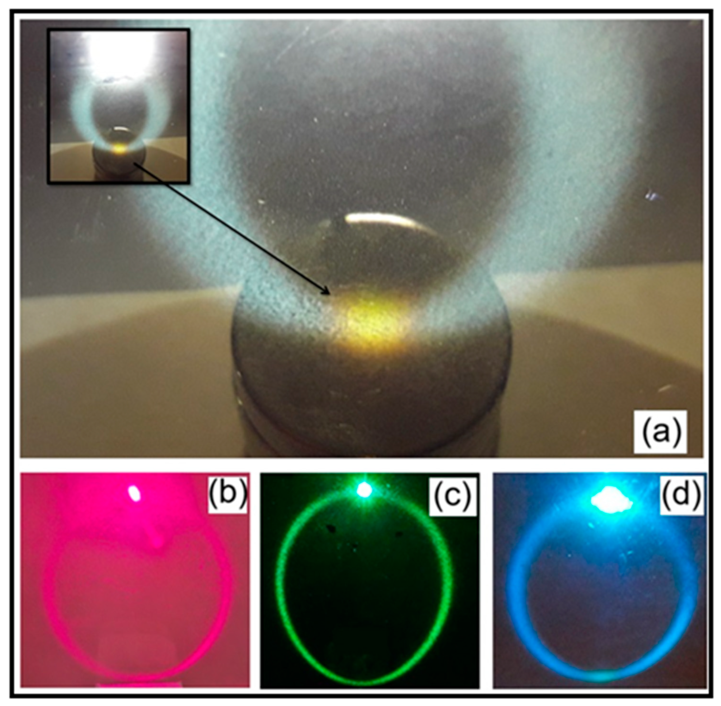 Preprints 170145 g006