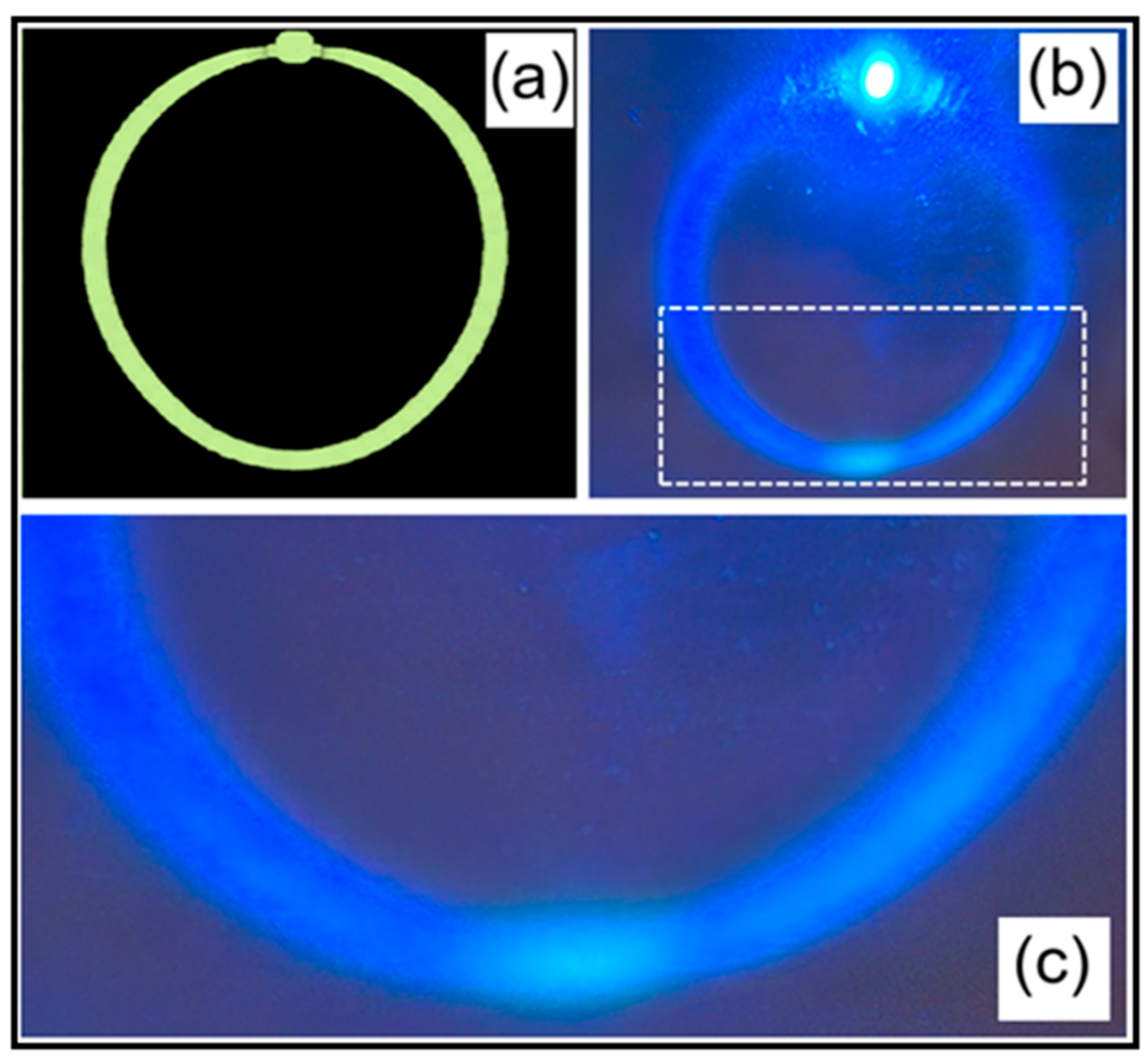 Preprints 170145 g008