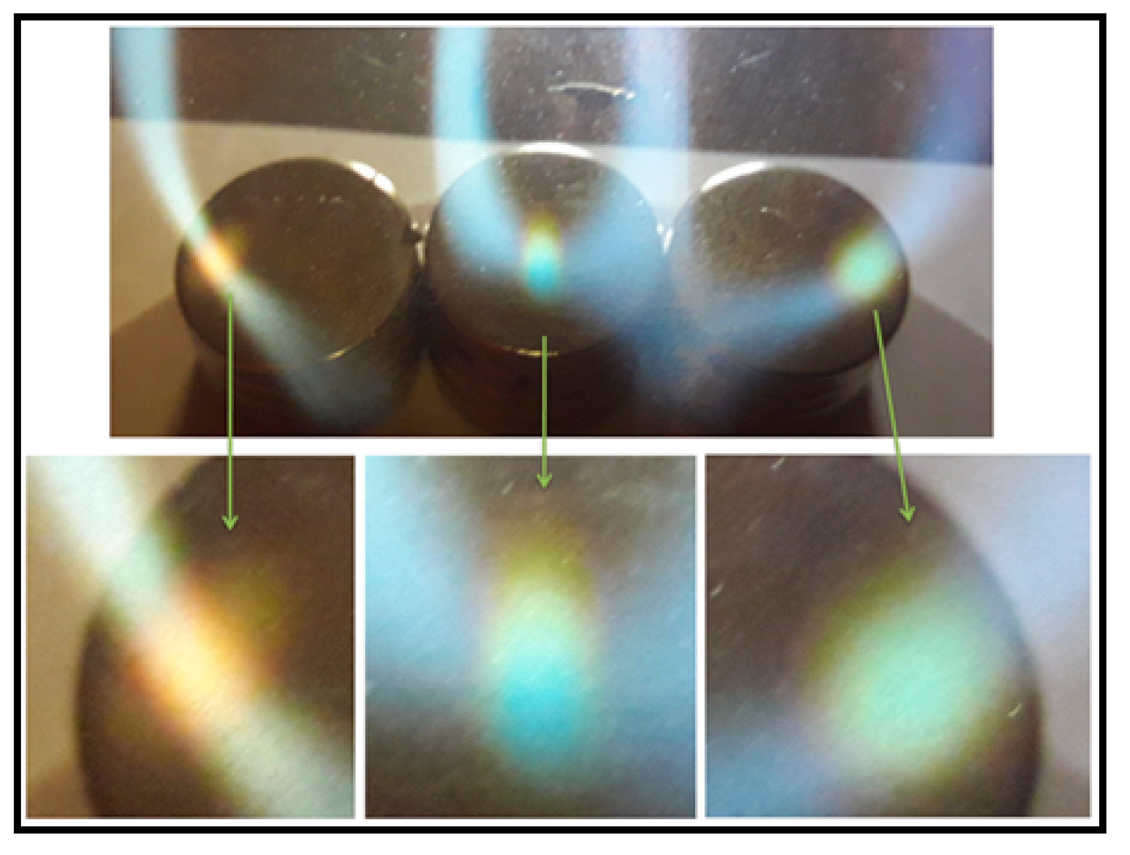 Preprints 170145 g010